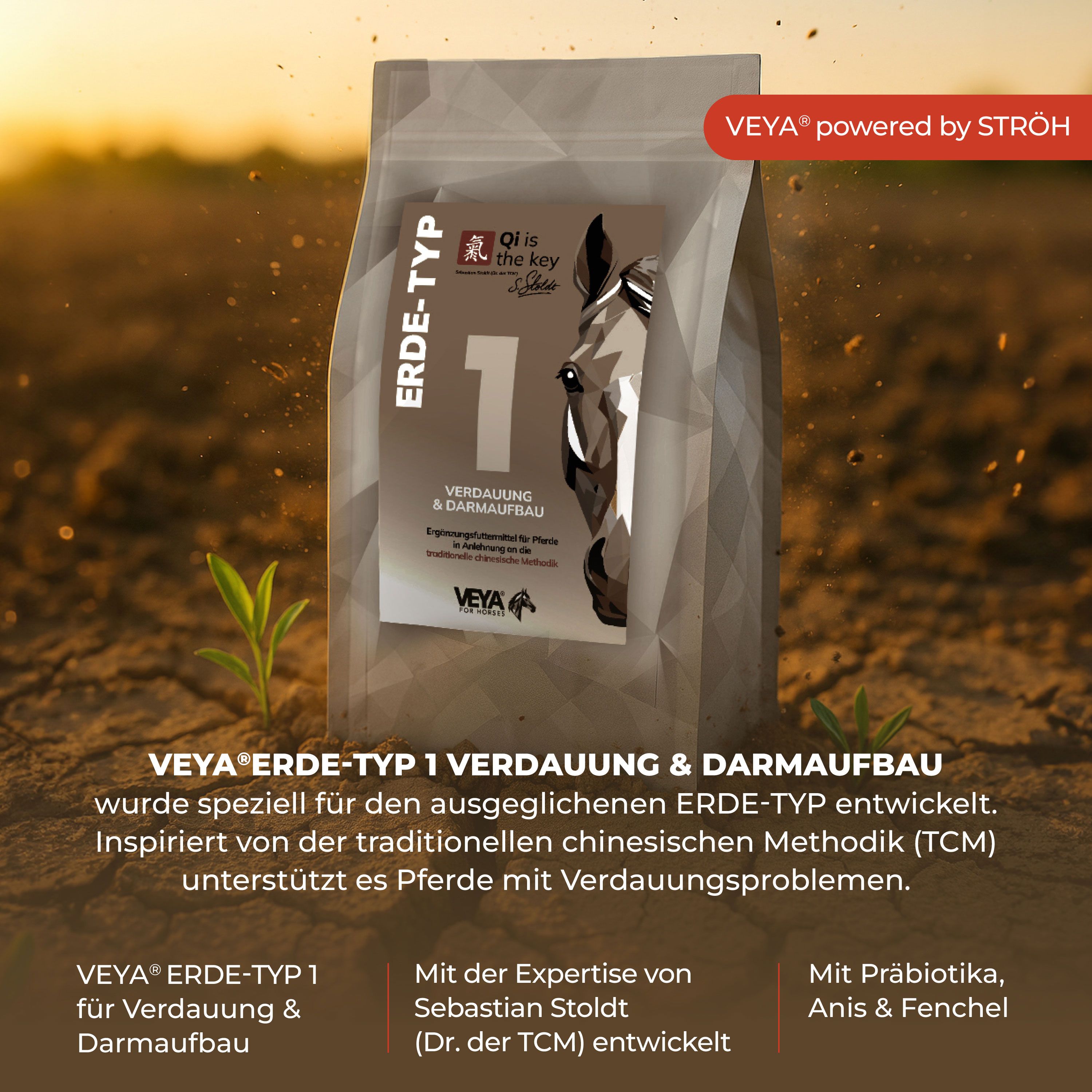VEYA ERDE-TYP 1 Verdauung & Darmaufbau