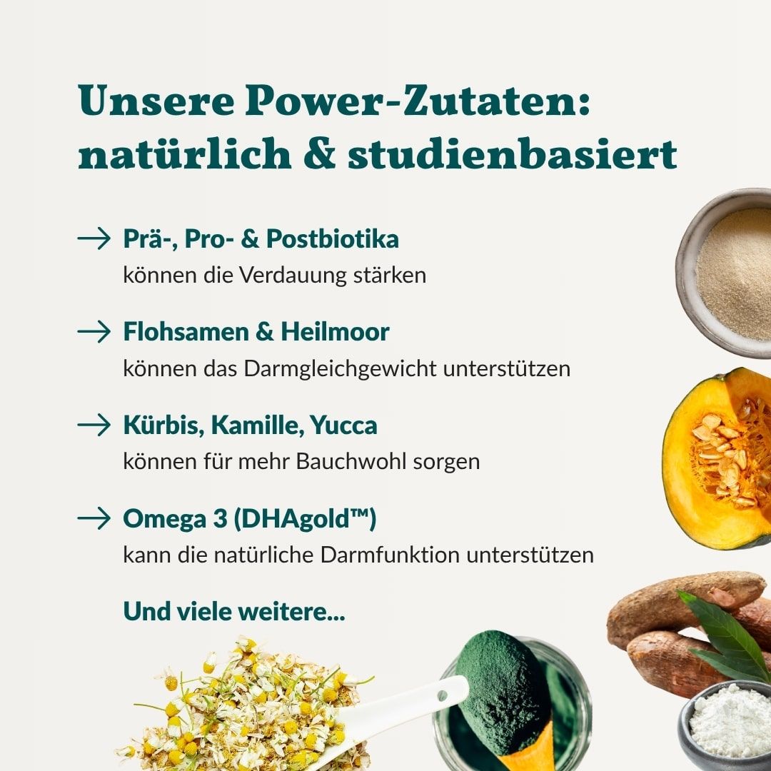 Infografik mit Zutaten. Prä-, Pro- & Postbiotika, Flohsamen & Heilmoor, Kürbis, Kamille, Yucca, Omega 3 (DHAgold).