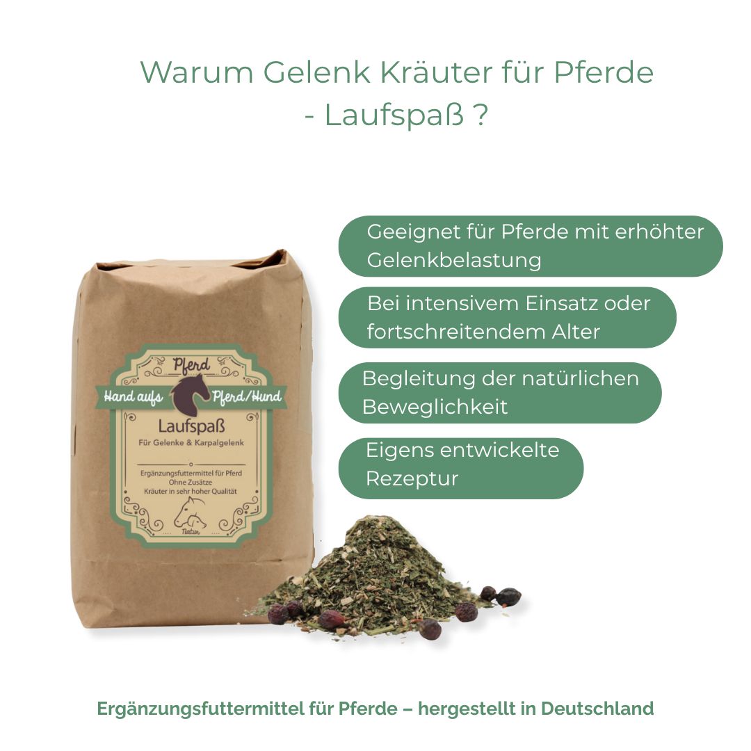 Braune Papiertüte mit Produktetikett und Kräutermischung. Text: Hand aufs Pferd/Hund, Laufspaß. Grüne Infoboxen mit Text.