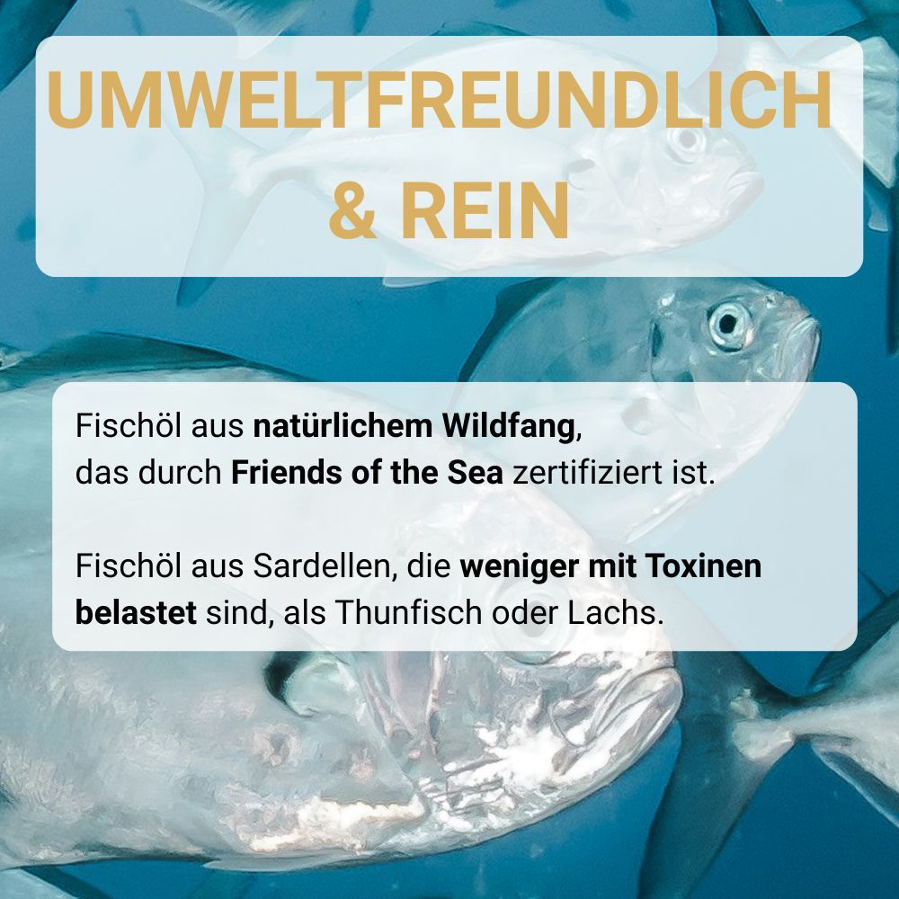 Fische im Wasser. Text: Umweltfreundlich & rein. Fischöl aus natürlichem Wildfang, zertifiziert. Fischöl aus Sardellen, weniger Toxine als Thunfisch.