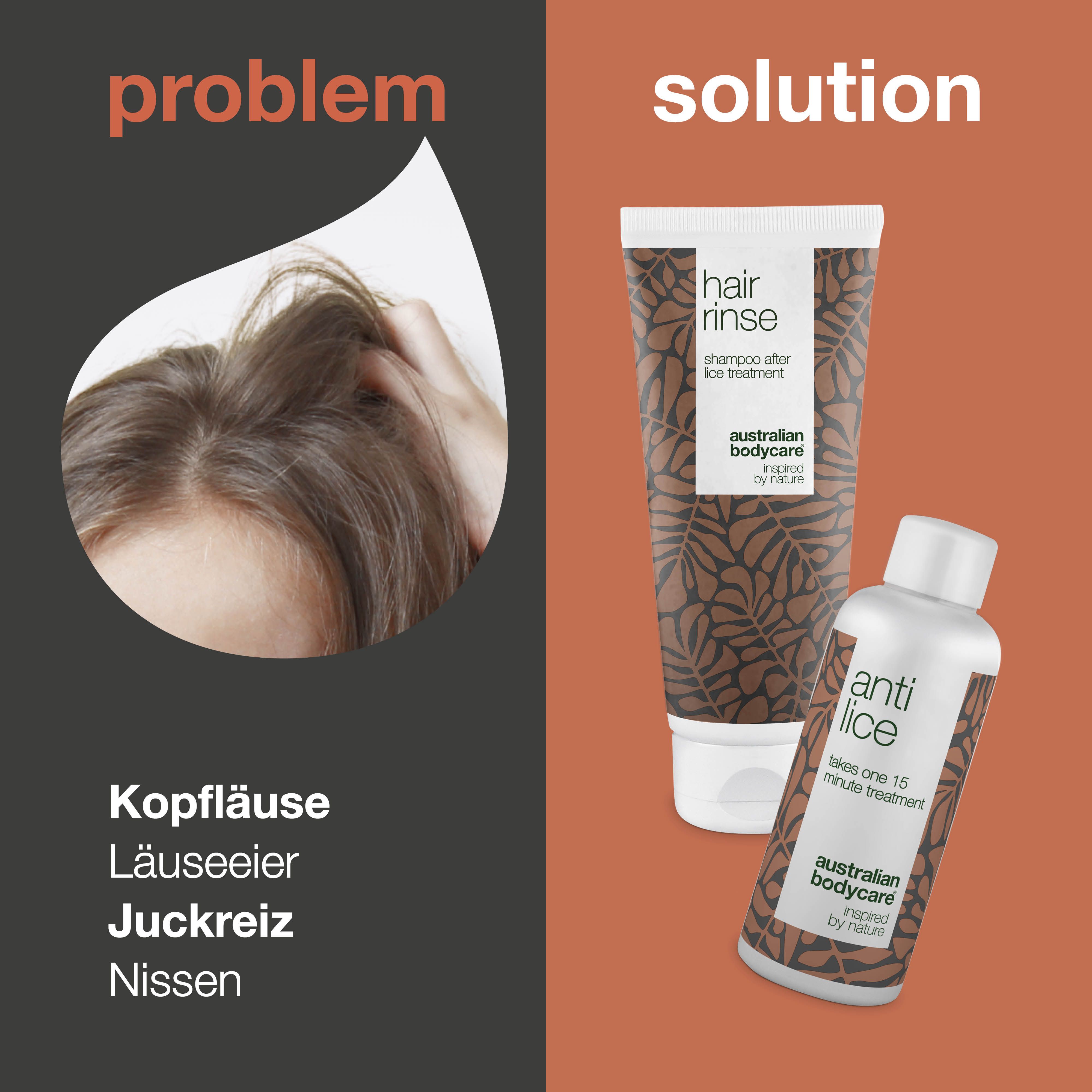 Problem/Lösung-Diagramm. Kopfhaut und Produkte "Hair Rinse" und "Anti Lice".