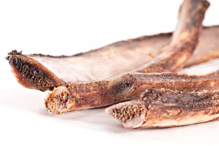 Nahaufnahme von getrockneten Pferde-Rippen. Braune Farbe, Knochenstruktur sichtbar.