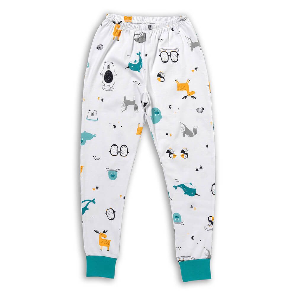 schlummersack Kinder Pyjama 2-teilig aus 100% Bio-Baumwolle Langarm Größe 98 Polarfreunde