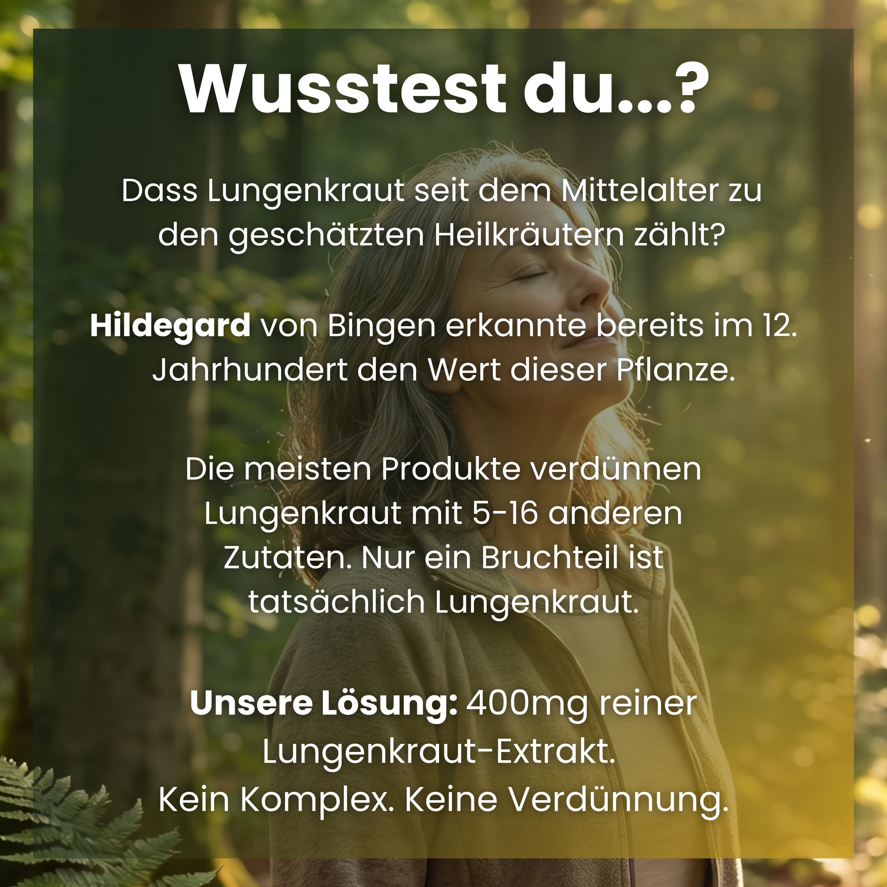 supplenatura Rheinland® Lungenkraut Kapseln - 400mg hochdosierter Lungenkrautextrakt