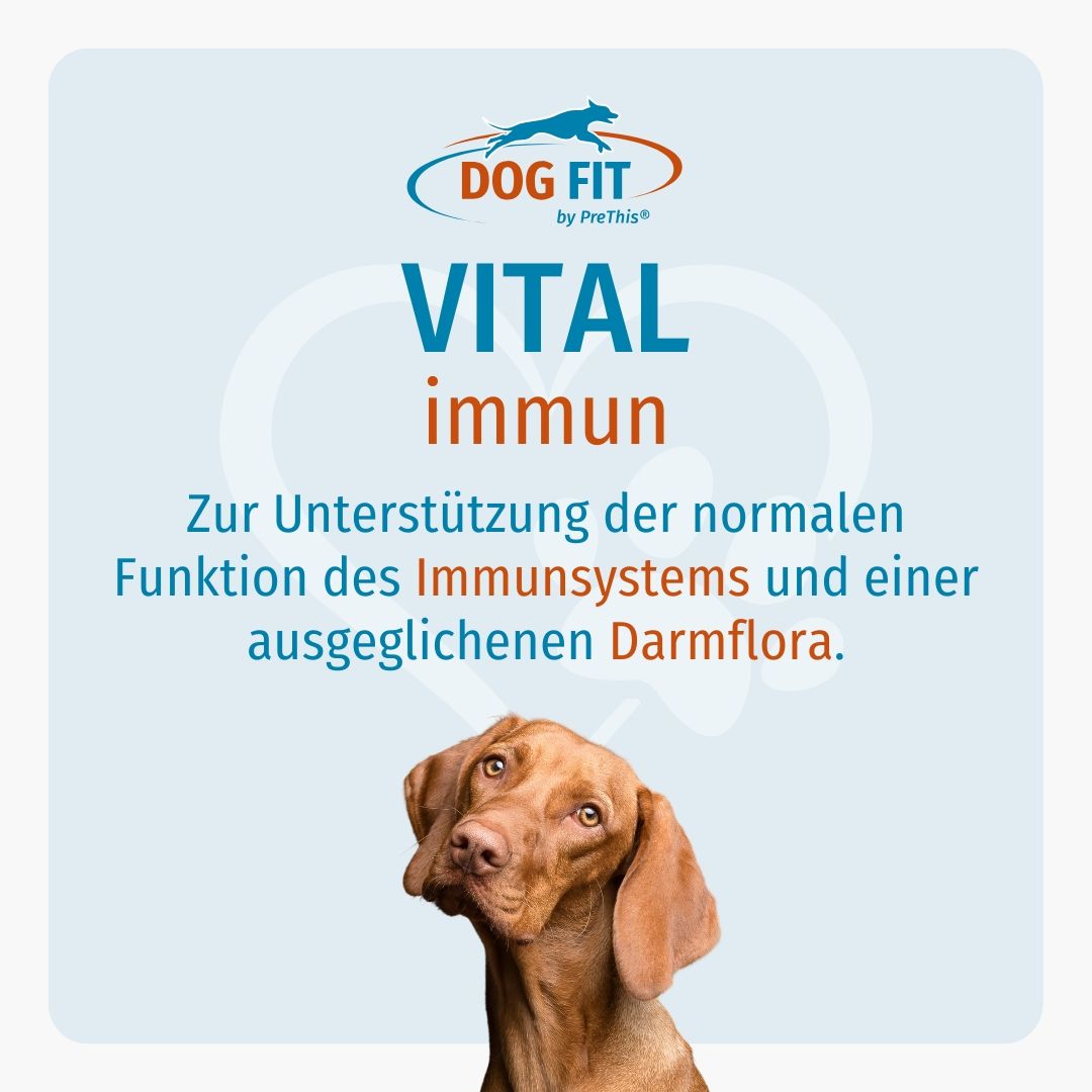 DOG FIT by PreThis® VITAL immun » Hunde » large