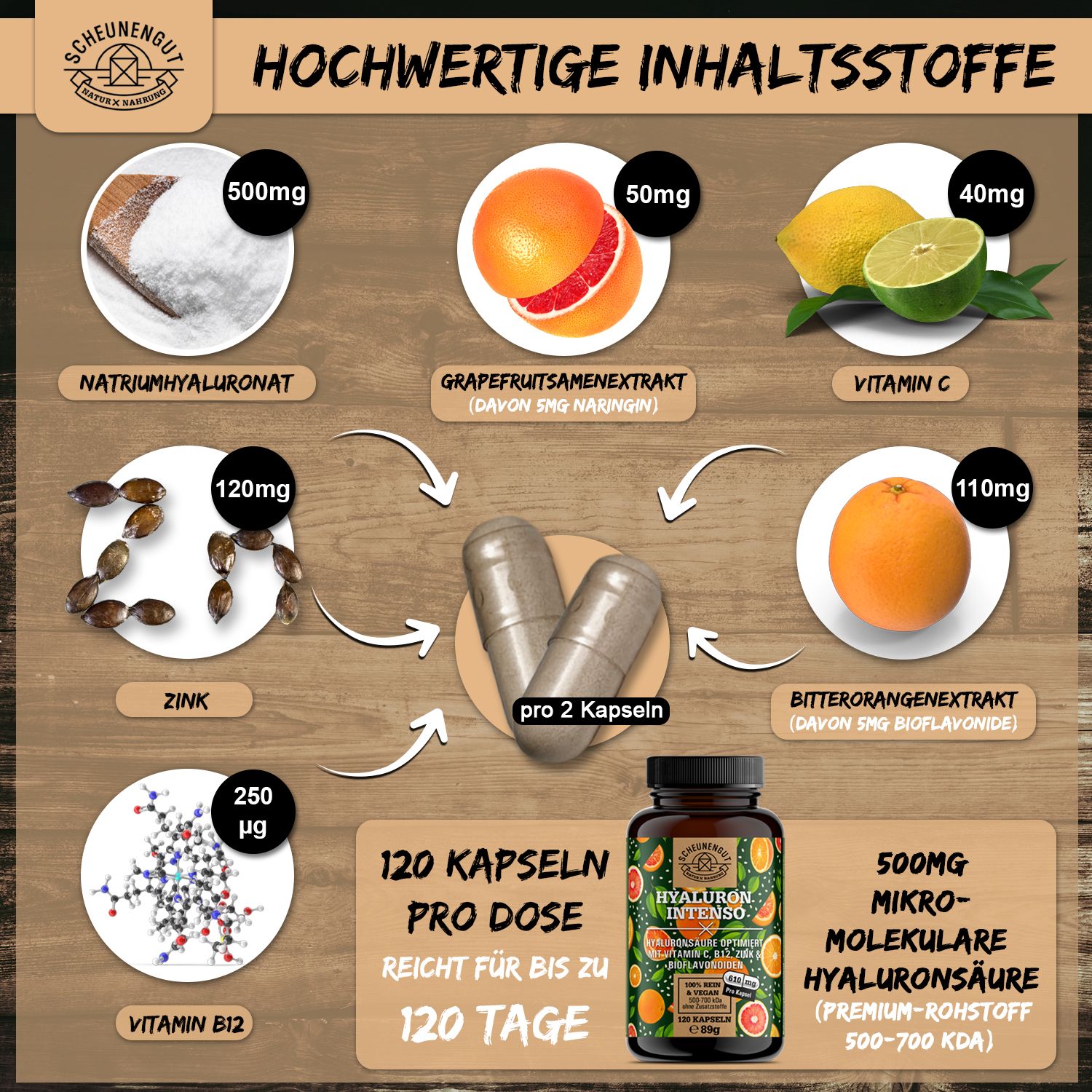 Infografik mit Inhaltsstoffen: Natriumhyaluronat, Grapefruitsamenextrakt, Vitamin C, Zink, Vitamin B12, Bitterorangenextrakt.