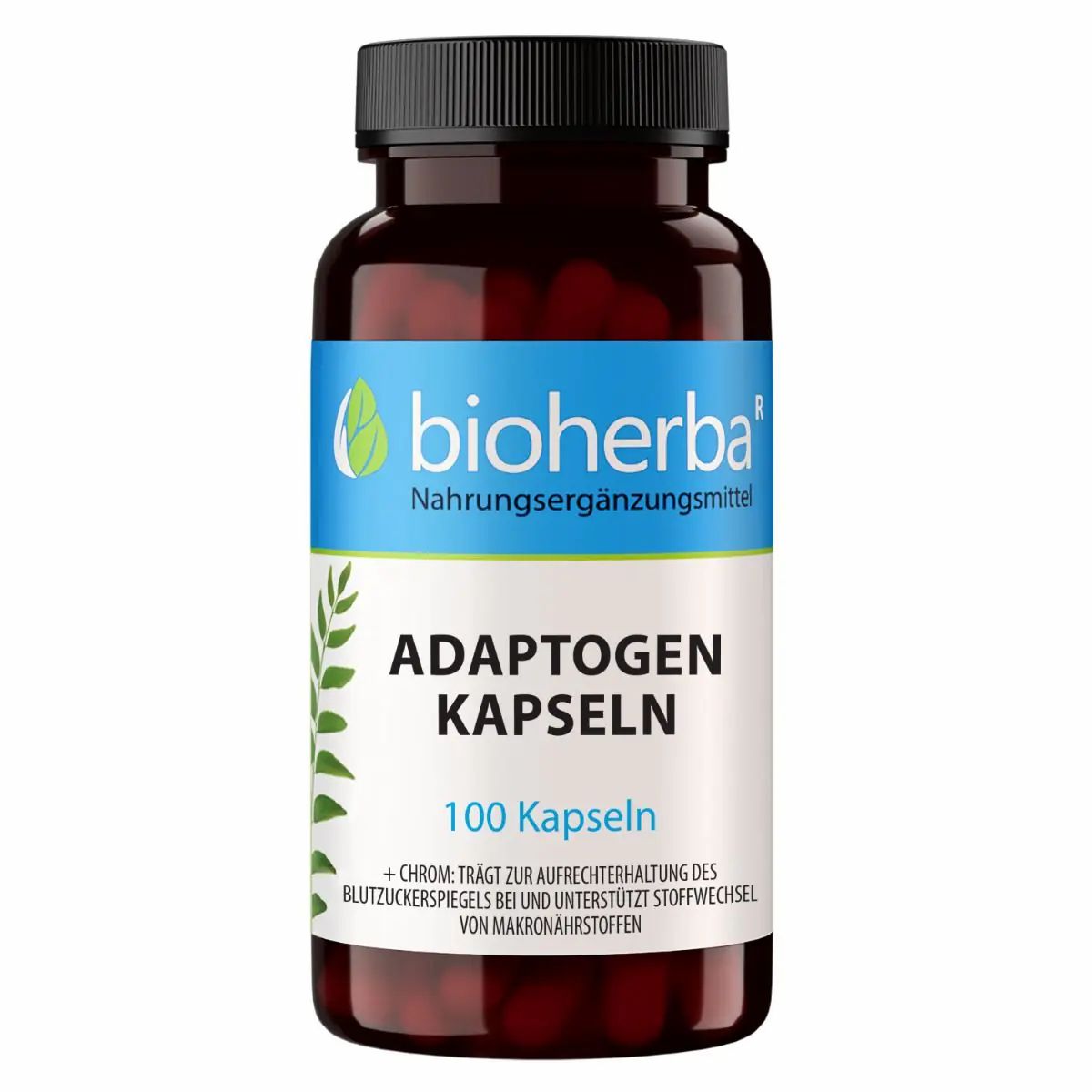 Braune Kapsel-Dose mit schwarzem Deckel. Aufschrift: Bioherba, Adaptogen Kapseln, 100 Kapseln. Blaue und grüne Etikett-Elemente.