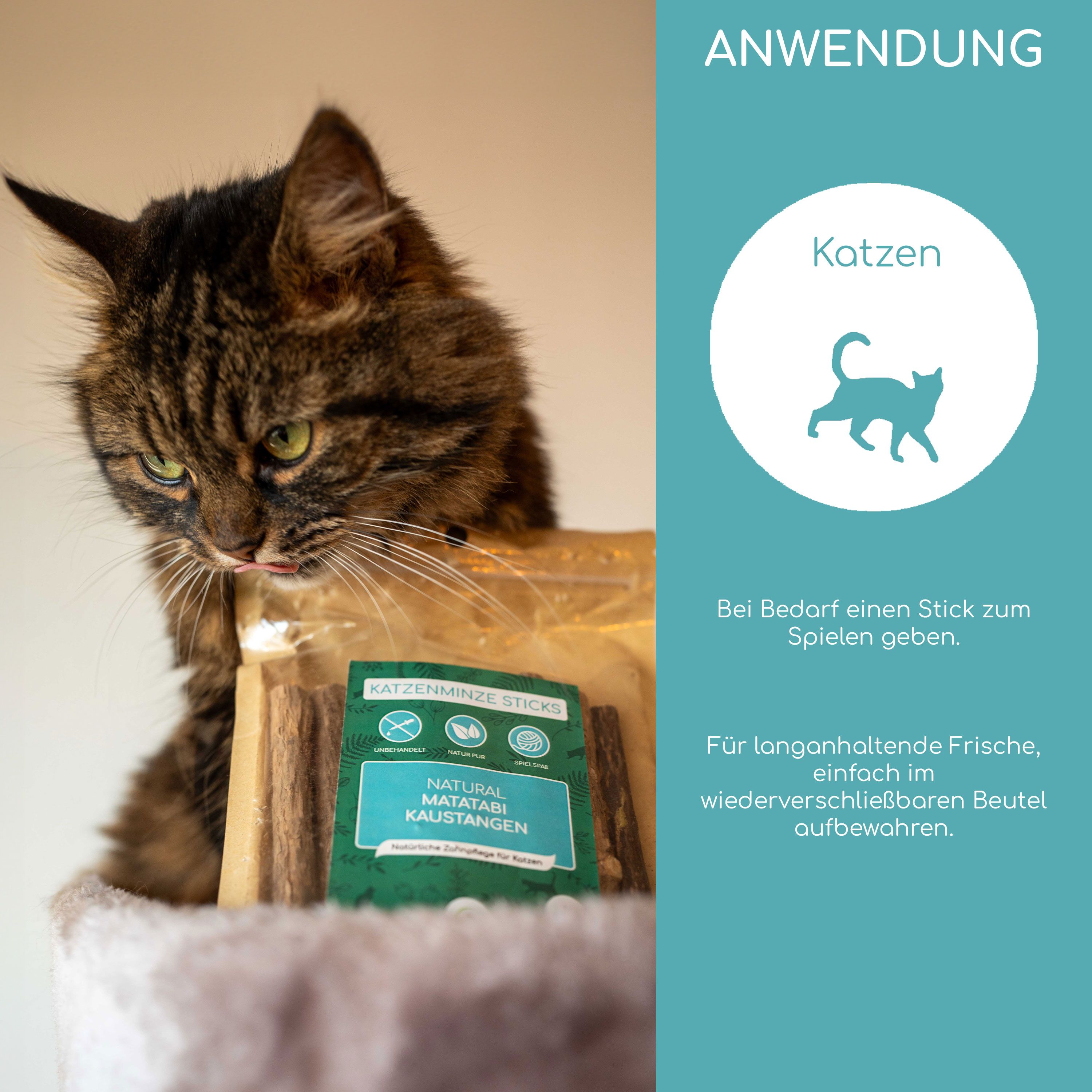 Katze an einem Kratzbaum. Beutel mit Katzenminze Sticks. Text: Natural Matatabi Kaustangen. Anwendung: Katze.