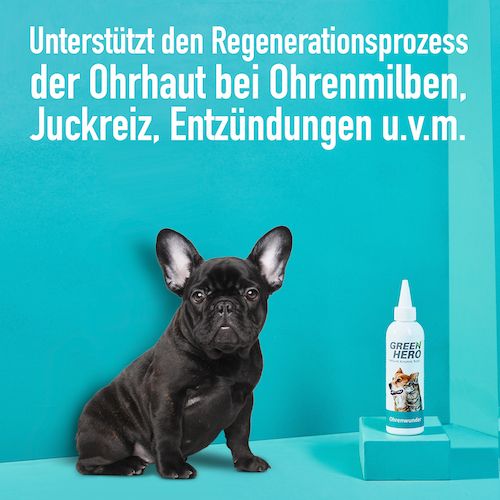 GreenHero Ohrenwunder