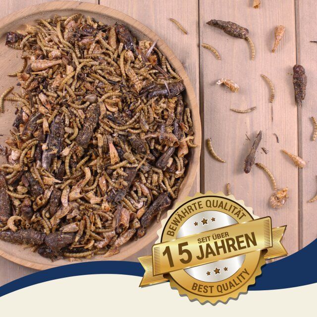 Insekten Mix in einer Holzschale. Banner: Bewährte Qualität, seit über 15 Jahren, Best Quality.