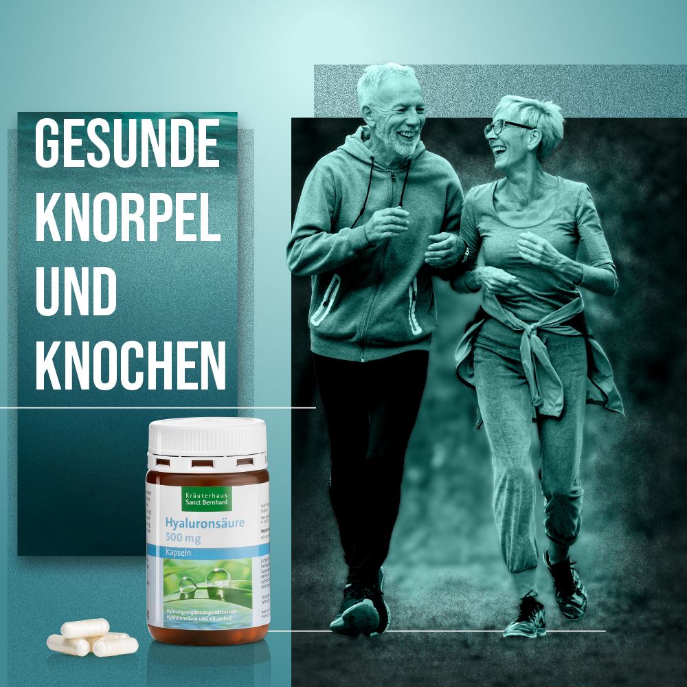 Sanct Bernhard Hyaluronsäure-Kapseln 500 mg