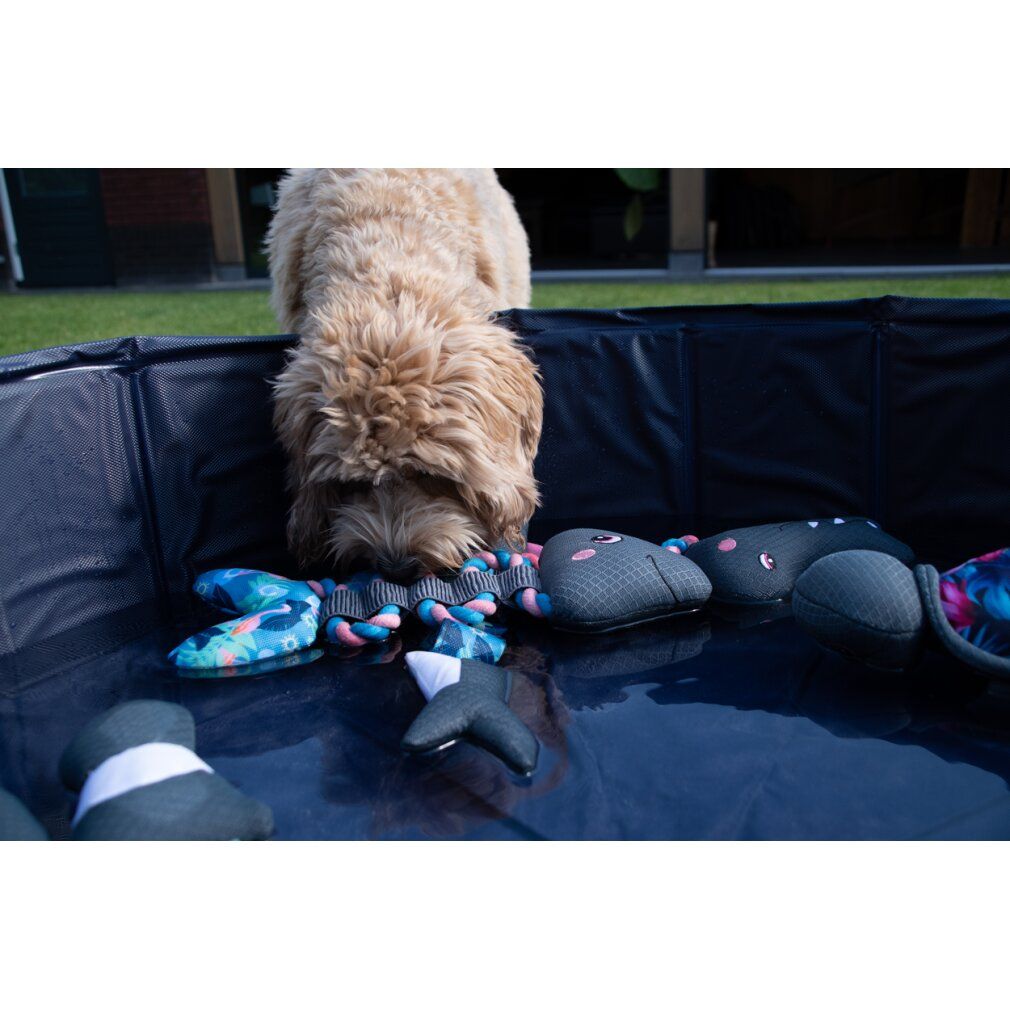 Hund in einem Becken mit Spielzeug. Fischknochen, Fischkopf und andere. Graue und bedruckte Spielzeuge. Flamingo-Design.