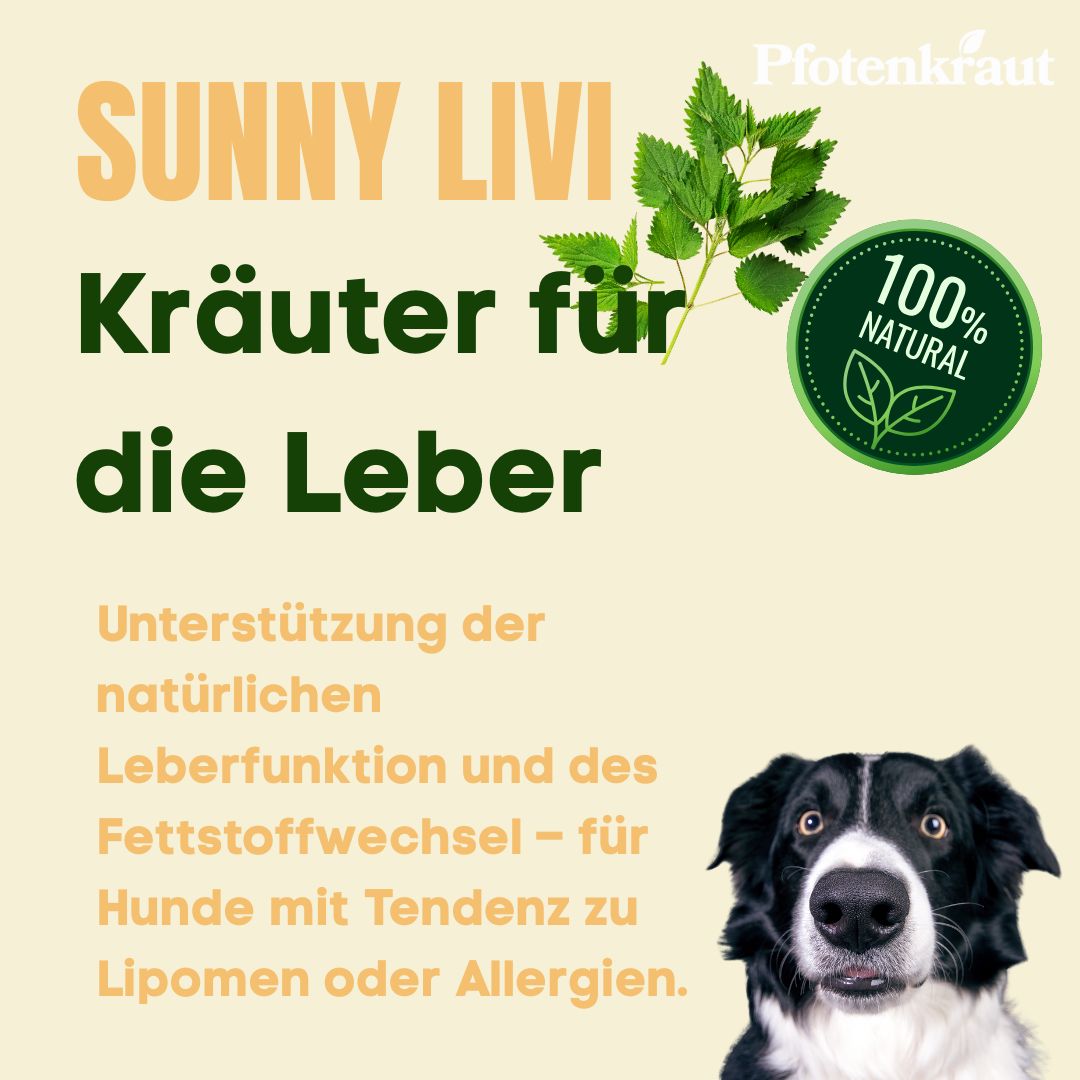 Text: SUNNY LIVI Kräuter für die Leber. Unterstützung der Leberfunktion. 100% Natural Siegel. Hund.