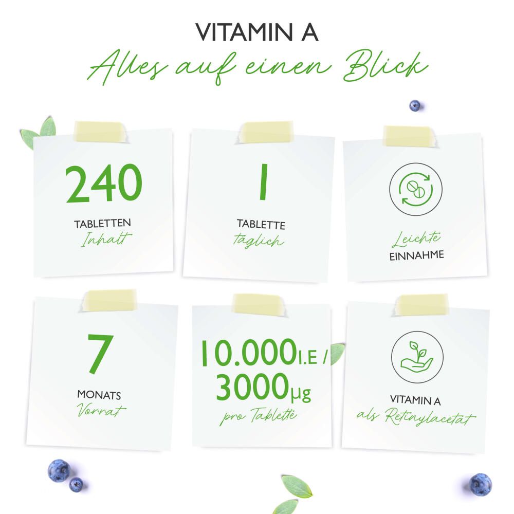 Infografik mit Informationen zu Vitamin A. 240 Tabletten, 1 Tablette täglich, leichte Einnahme, 7 Monate Vorrat.