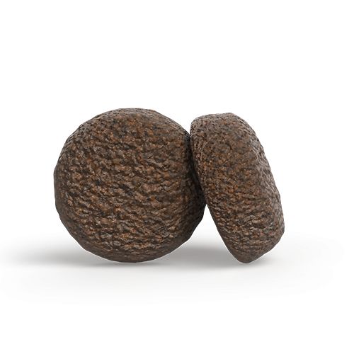 Zwei runde, braune Futterkroketten. Rauhe Textur, leicht schattiert.