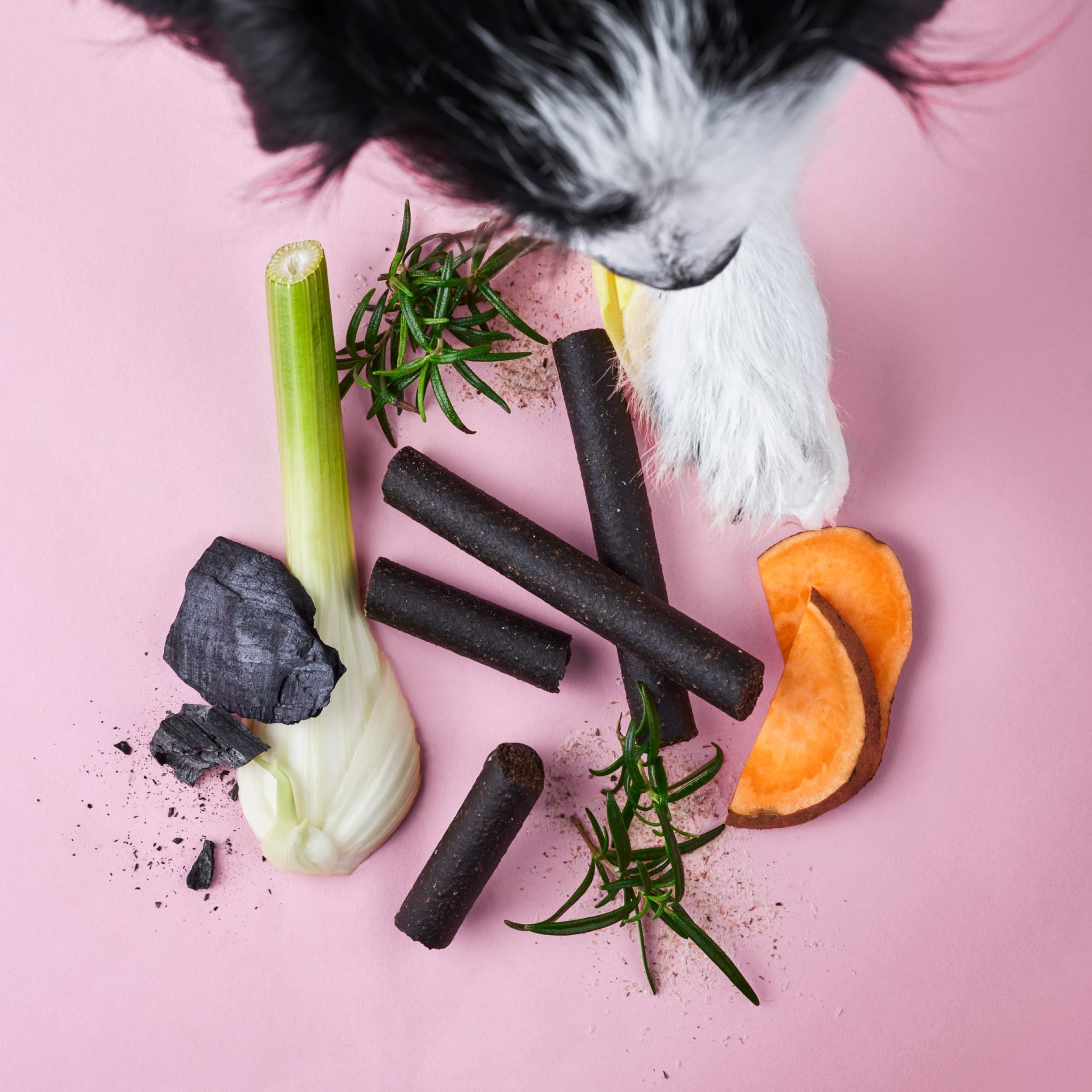 Hundekekse mit Zutaten wie Süßkartoffel, Zwiebel und Kräutern.