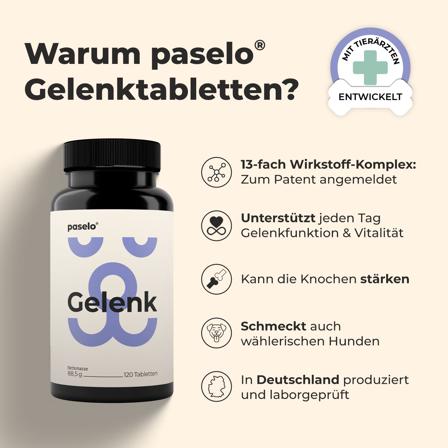 Pfefferminzfarbene Flasche mit paselo Gelenk-Tabletten, 120 Stück. Enthält 13-fach Wirkstoff-Komplex, von Tierärzten entwickelt.