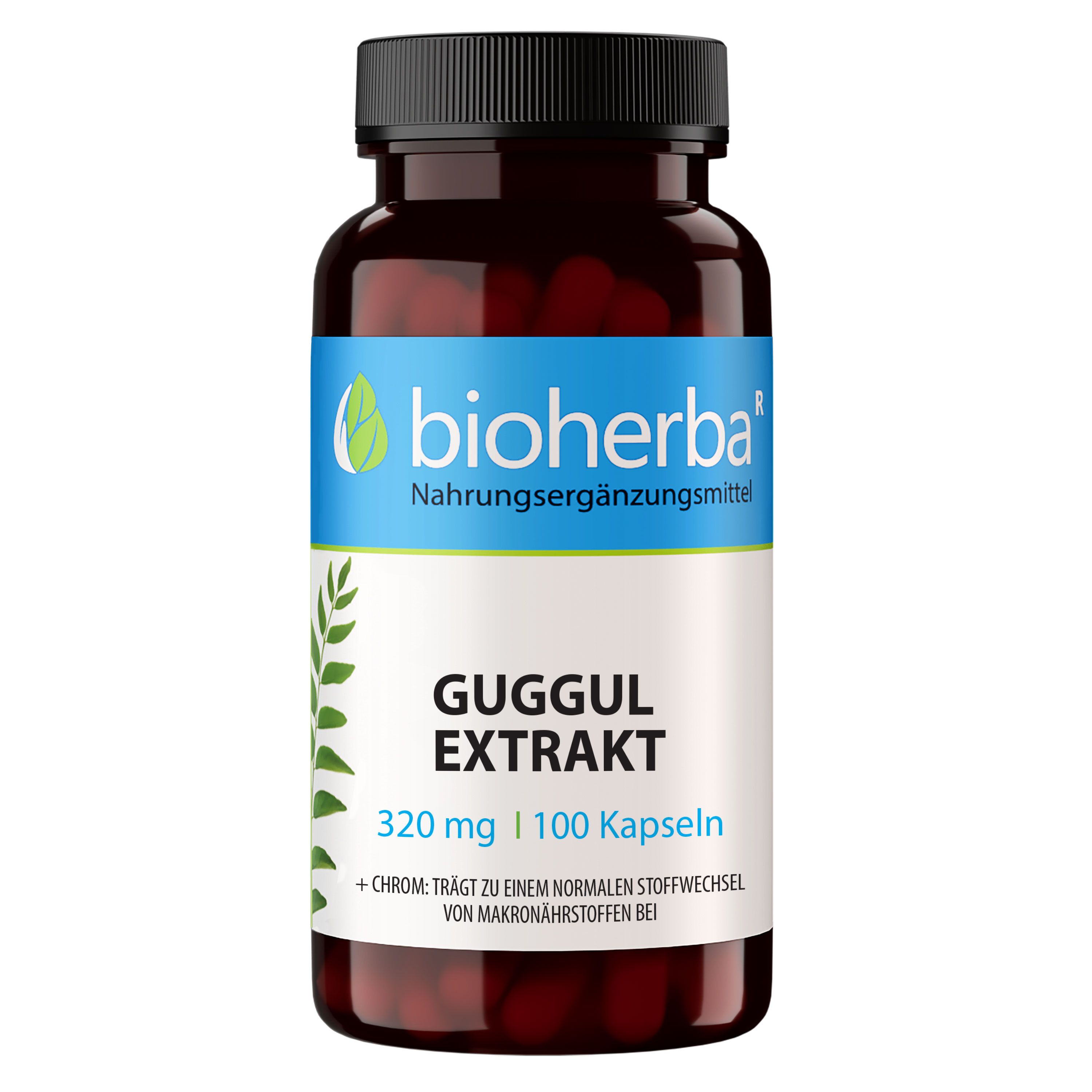 Bioherba Guggul Kapseln