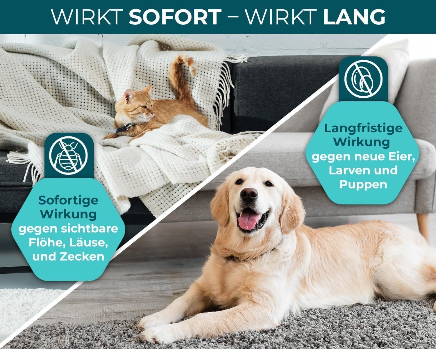 Hund und Katze auf Sofa und Teppich. Text: Wirkt sofort - wirkt lang. Sofortige Wirkung gegen Flöhe, Läuse, Zecken.