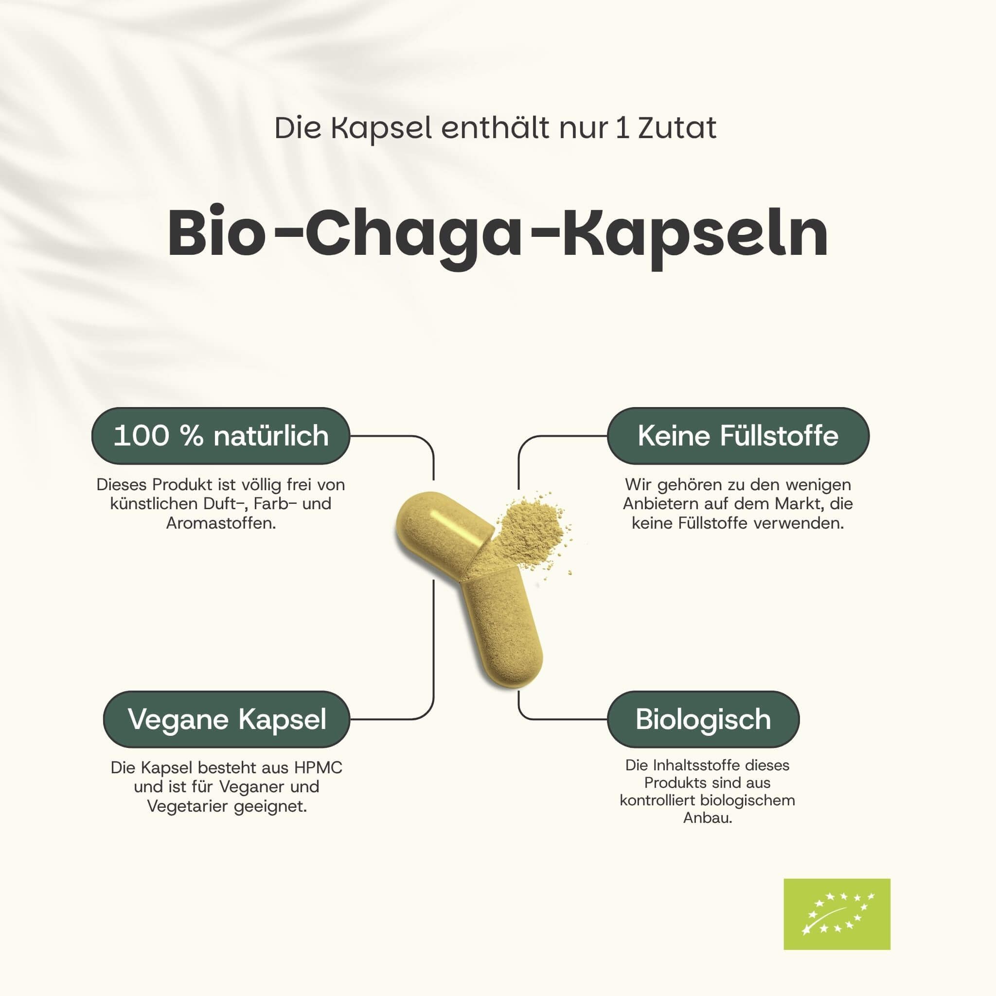 Kapsel mit Chaga-Pulver. Text: 100% natürlich, vegane Kapsel, biologisch, keine Füllstoffe.