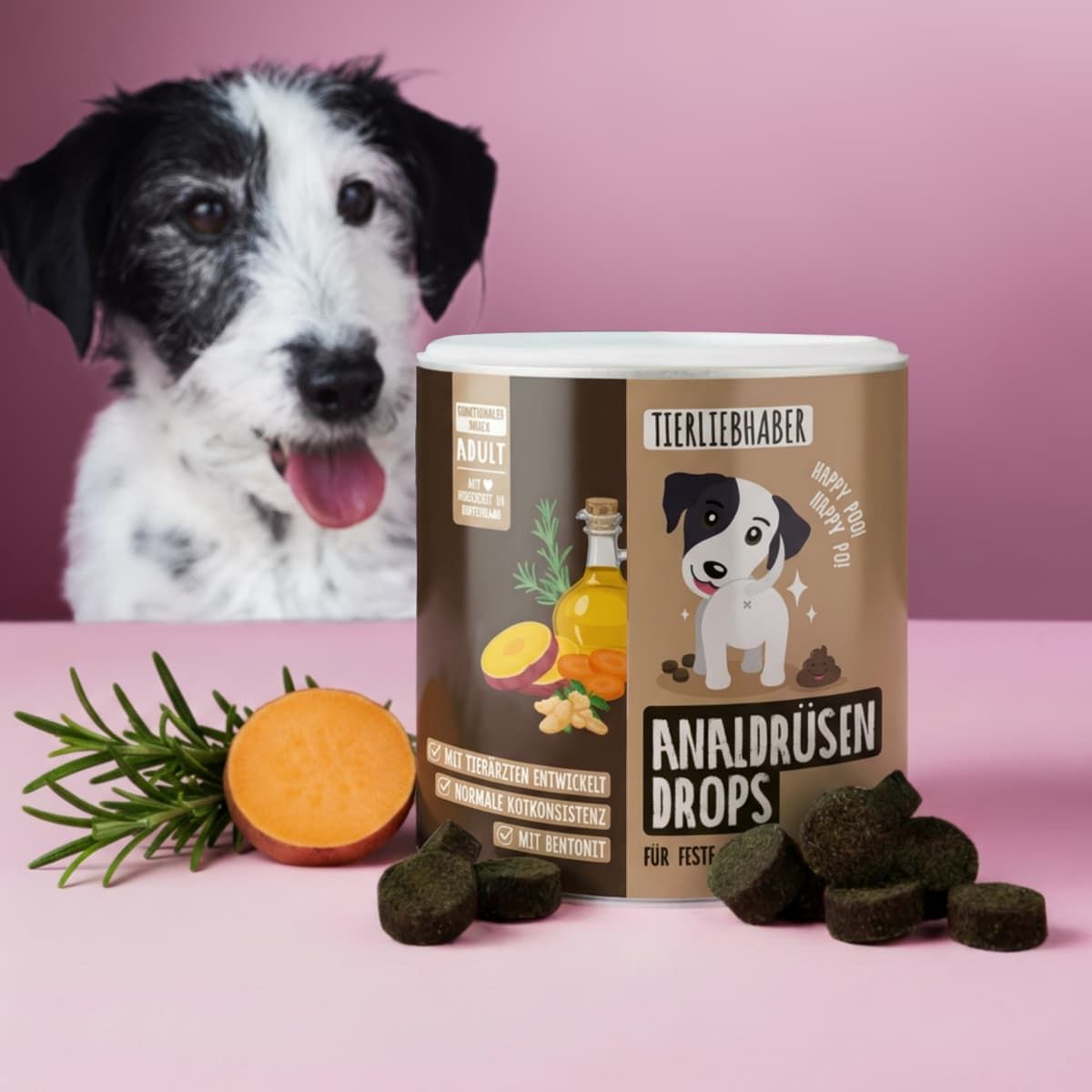 Hundekekse in einer Dose mit Hundemotiv und Zutaten wie Süßkartoffel und Ingwer.