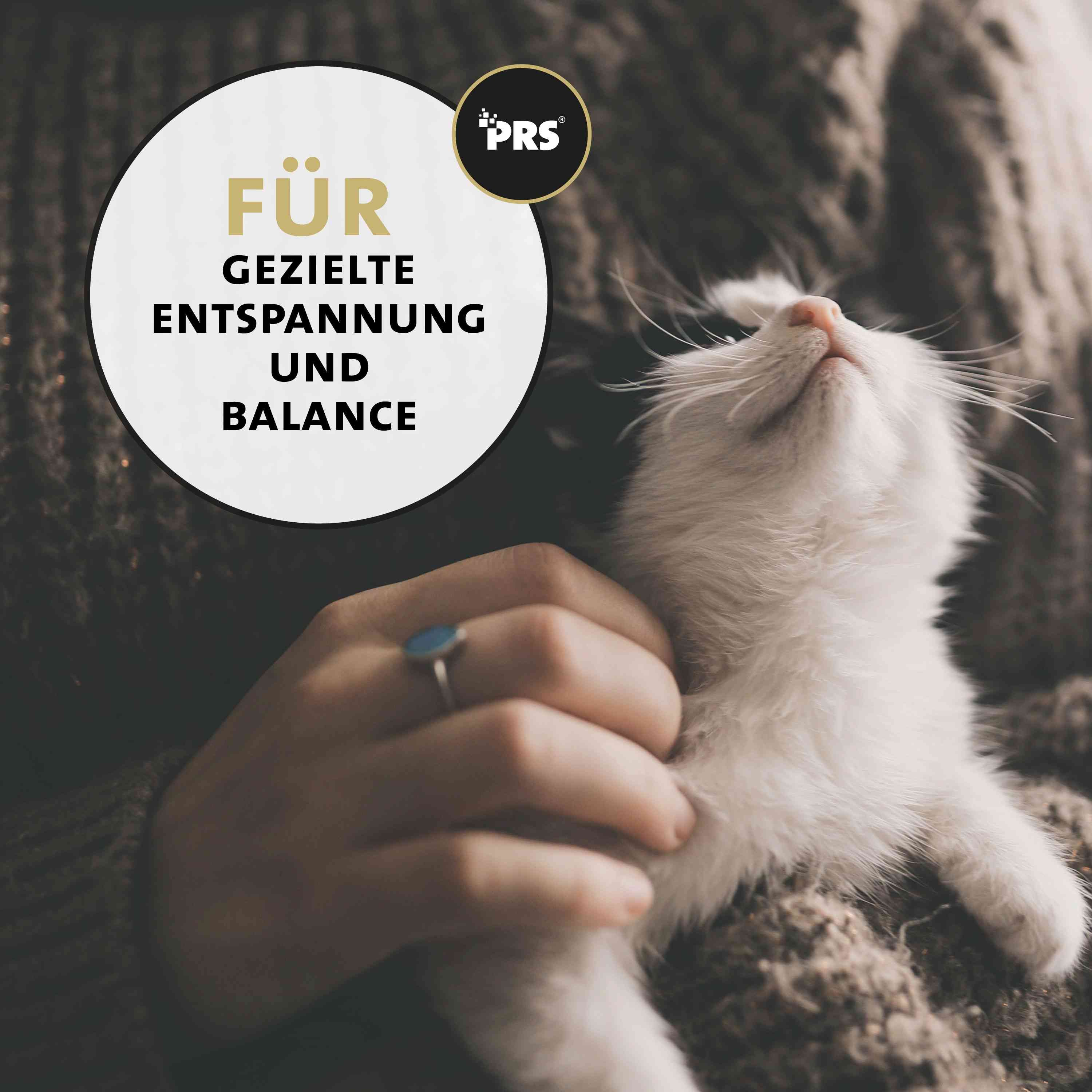 Katze in Armen. Aufschrift: Für gezielte Entspannung und Balance. Logo: PRS.
