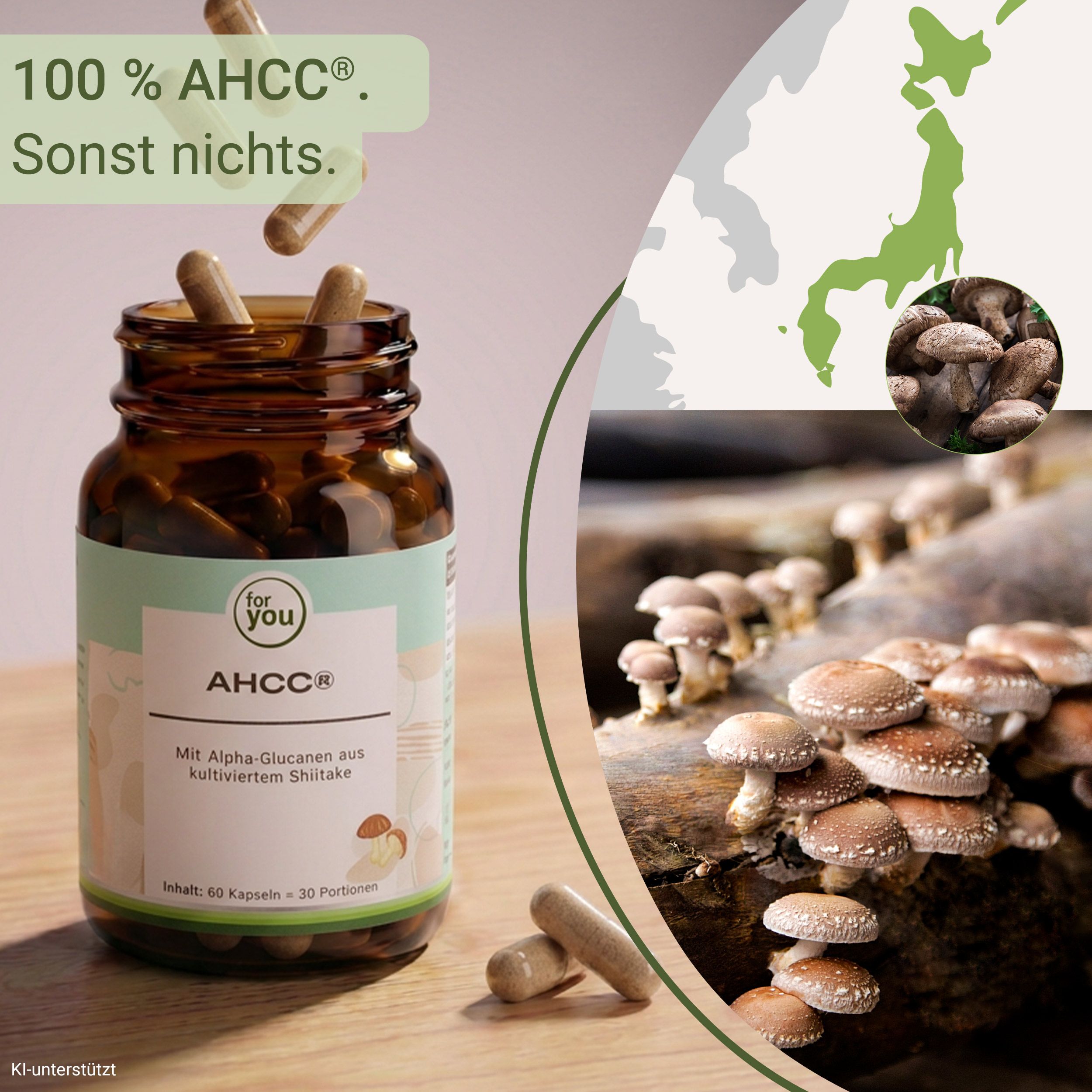 Flasche AHCC® Kapseln mit Shiitake-Extrakt, daneben Kapseln und Shiitake-Pilze in Japan.