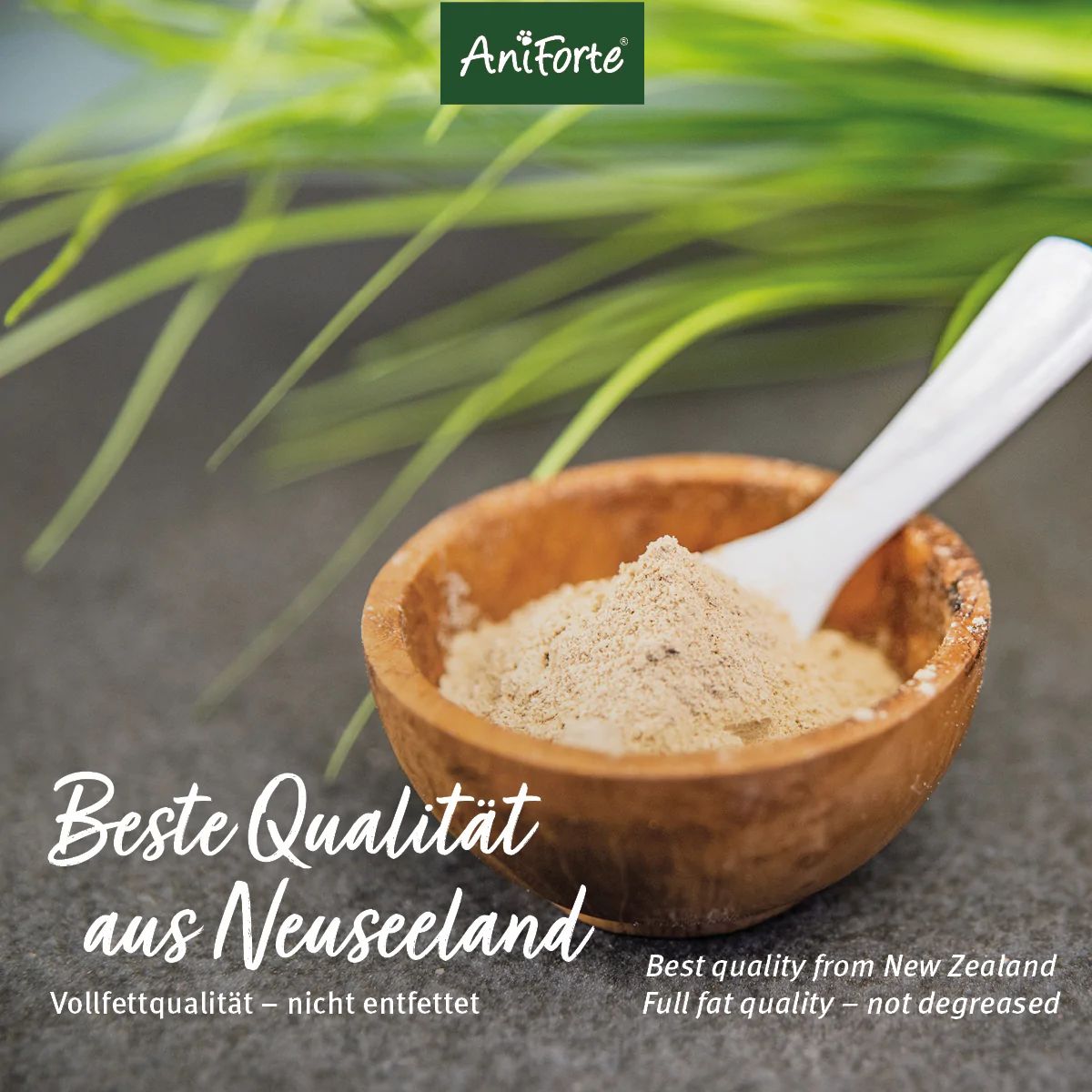 Holzschale mit Pulver und Löffel. Text: Beste Qualität aus Neuseeland. Vollfettqualität - nicht entfettet.