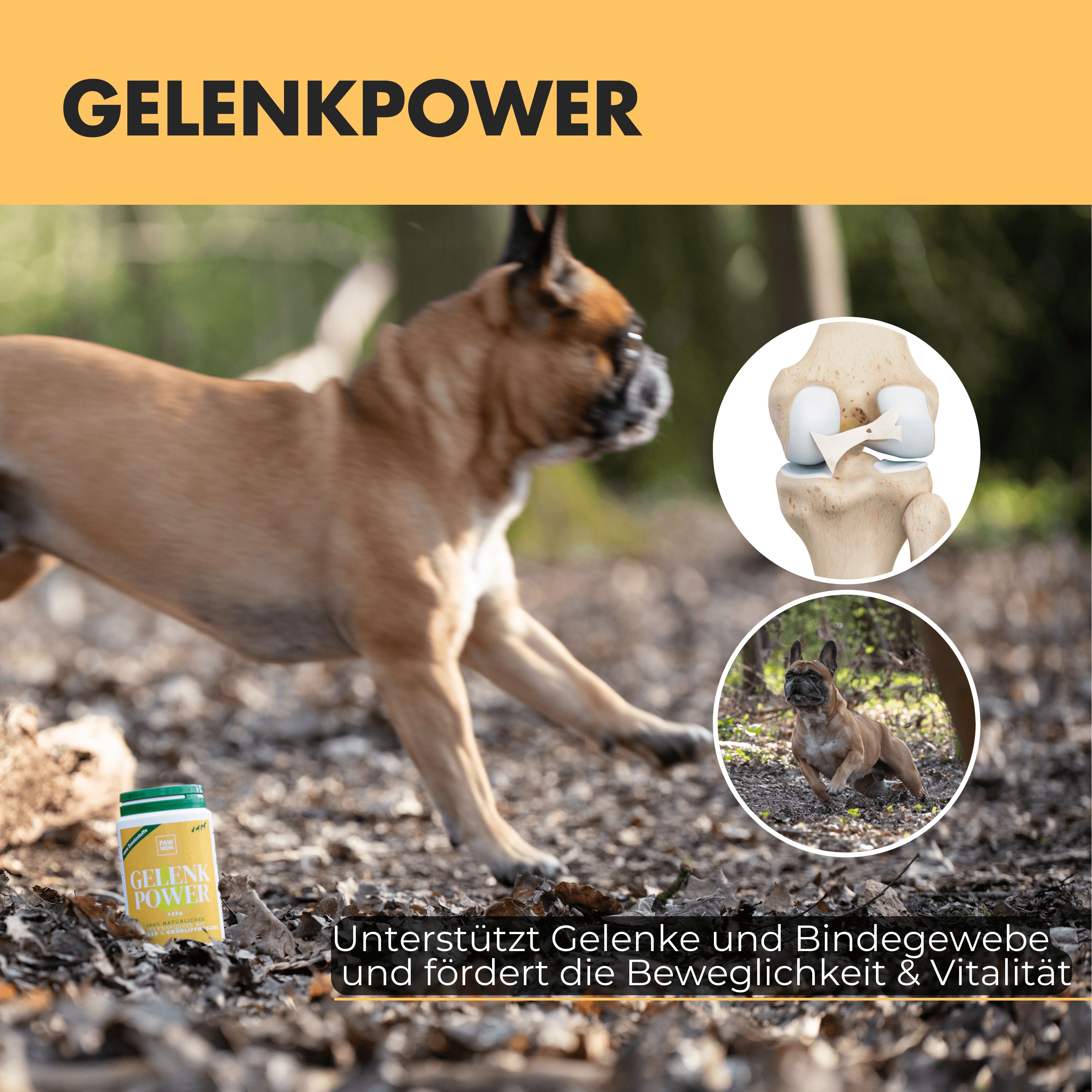 PAW WOW Gelenkpower