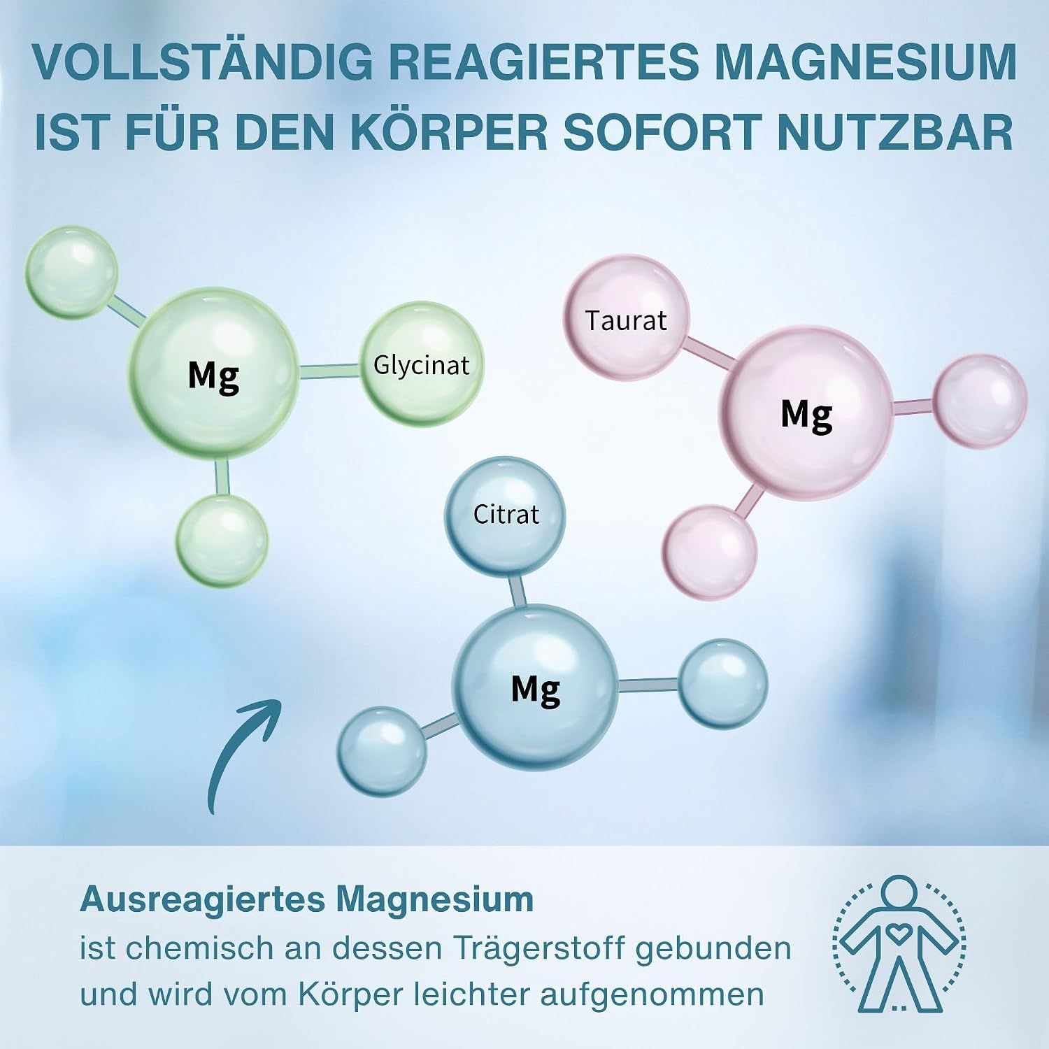 Liste der Vorteile von Magnesiumtaurat, -glycinat und -citrat.