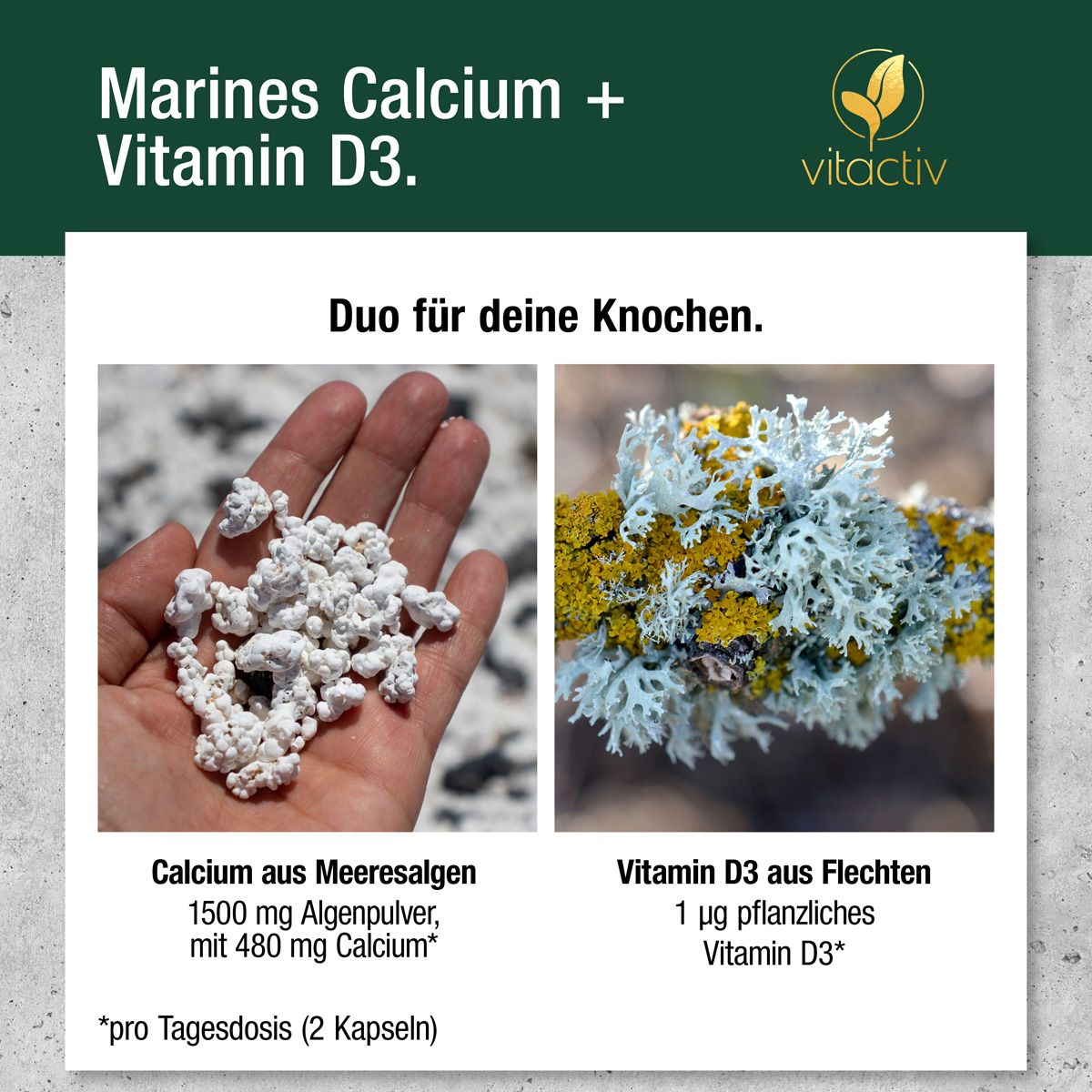 Zwei Bilder: Hand mit Algenpulver und Flechten. Text: "Calcium aus Meeresalgen" und "Vitamin D3 aus Flechten".