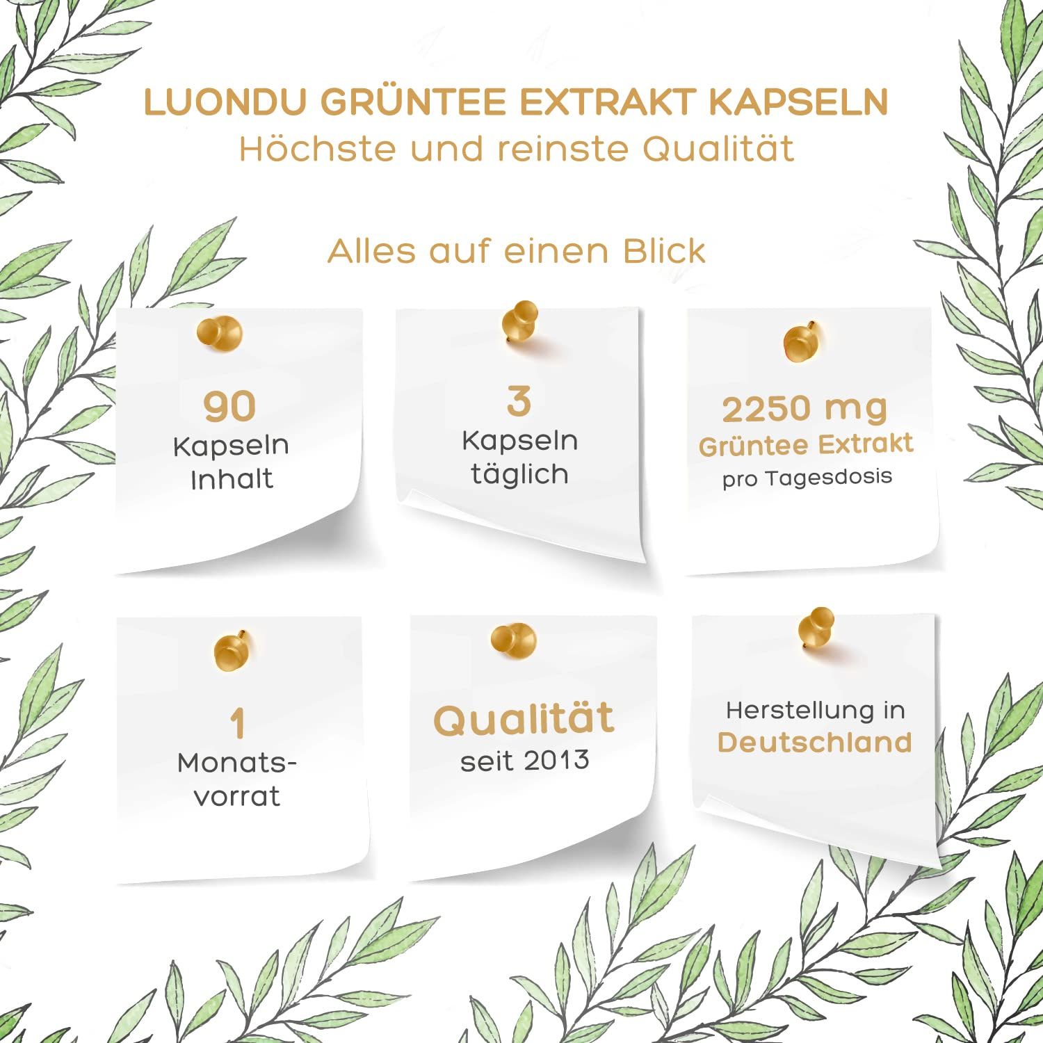 Luondu Grüntee Extrakt Kapseln Hochdosiert - 90 Kapseln - 30 Tage Vorrat