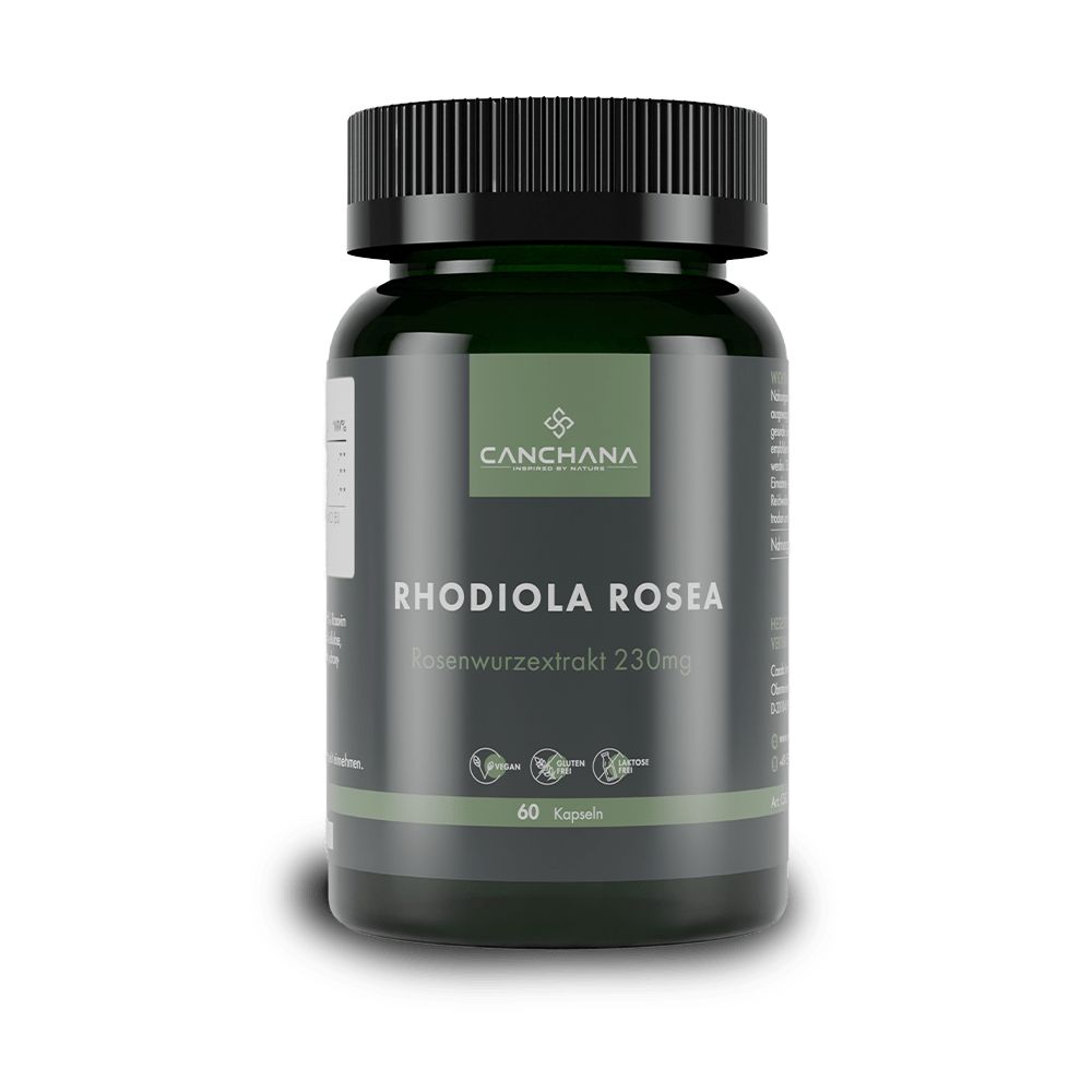 Canchana Rohiola Rosea