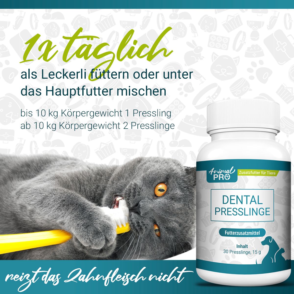 Katze mit Zahnbürste und Flasche "Animal Pro Dental Presslinge". Text: "1x täglich". Weitere Texte: bis 10 kg Körpergewicht 1 Pressling.