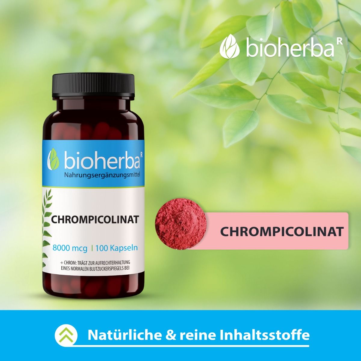 Braune Flasche mit Kapseln und Pulver. Etikett mit Produktnamen und Logo. Text: Chrompicolinat, 8000 mcg / 100 Kapseln. Natürliche & reine Inhaltsstoffe.