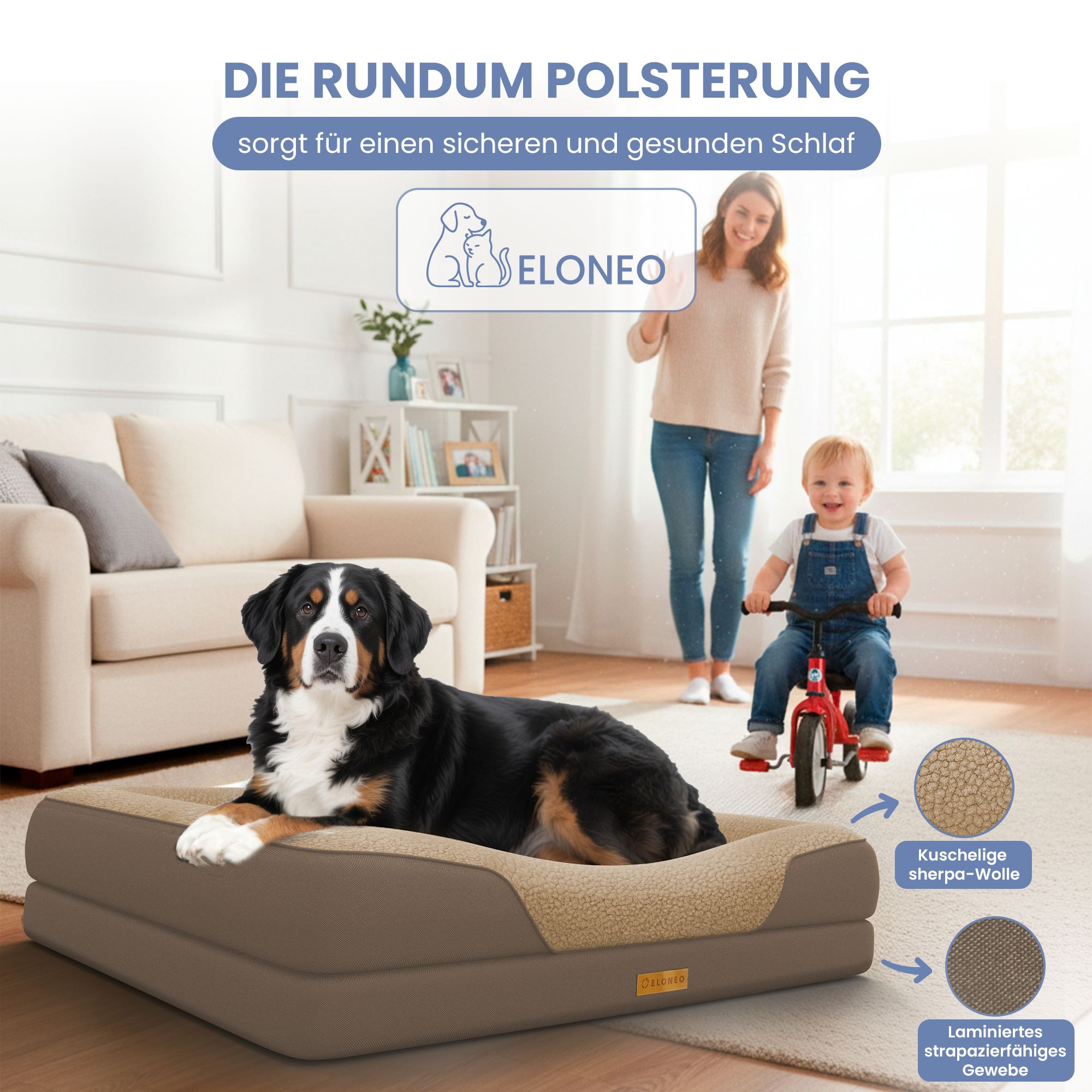 Hundebett im Wohnzimmer. Hund liegt auf dem Bett. Text: Die rundum Polsterung sorgt für einen sicheren und gesunden Schlaf. ELONEO.