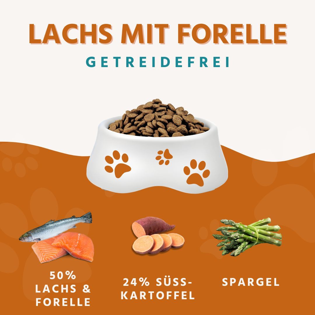 Hundenahrung in einer Schüssel mit Pfotenabdruck-Design. Zutaten: Lachs, Forelle, Süßkartoffeln und Spargel.
