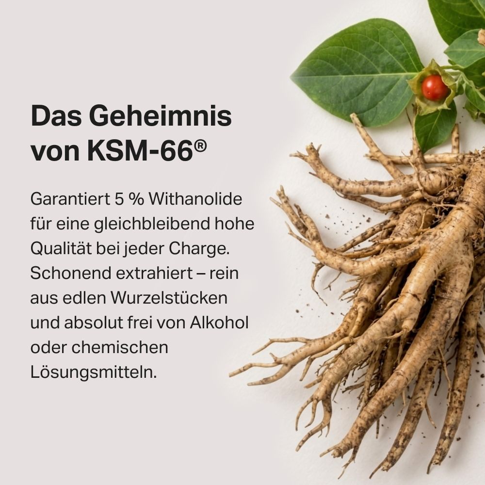 Ashwagandha-Wurzel mit Blättern und Beere, KSM-66 Extrakt-Informationen.