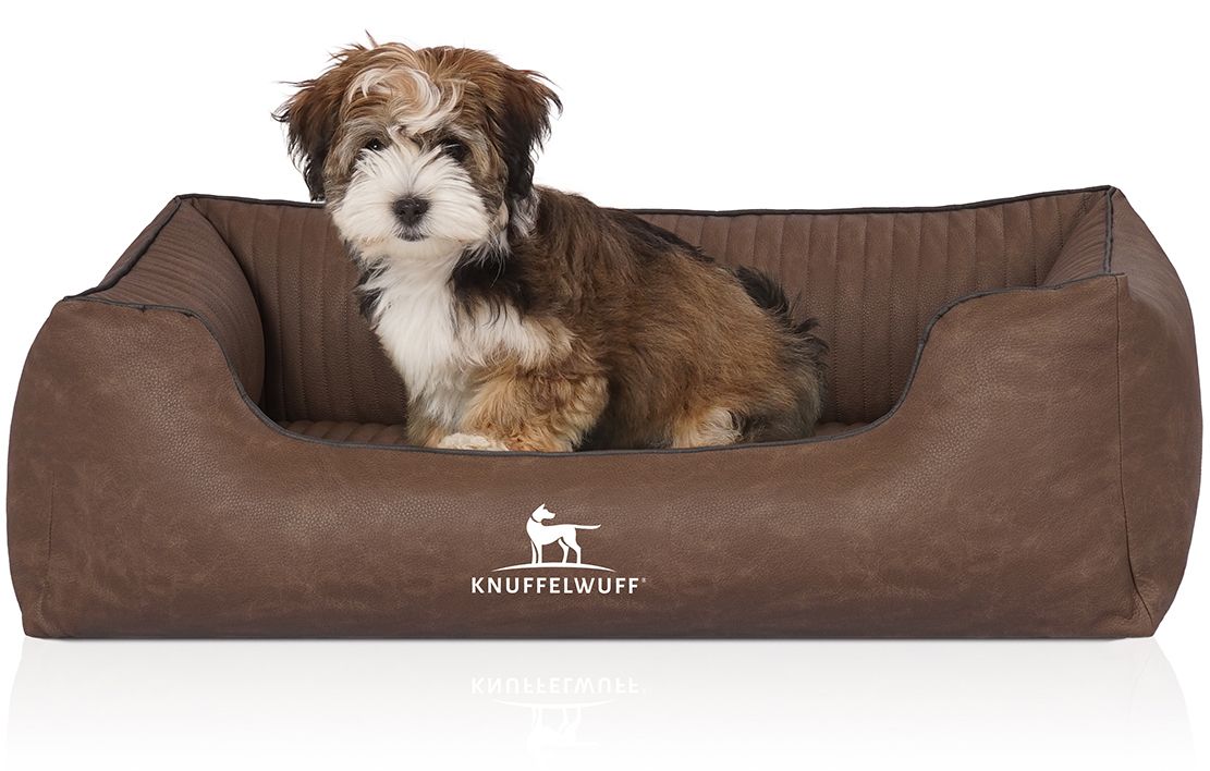 Braunes Hundebett mit Hund. Helles Fell, sitzt im Bett. Knuffelwuff Logo sichtbar.
