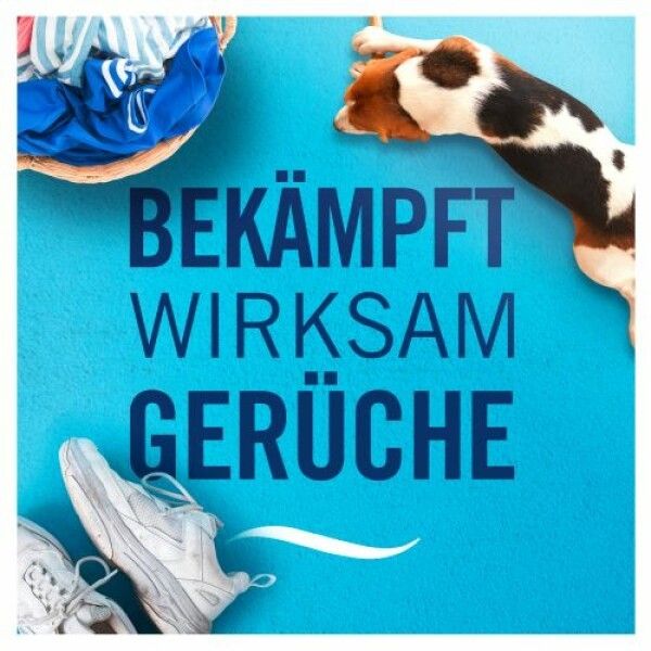 Text: Bekämpft wirksam Gerüche. Korb mit Kleidung, Turnschuhe, Hund. Blauer Hintergrund.