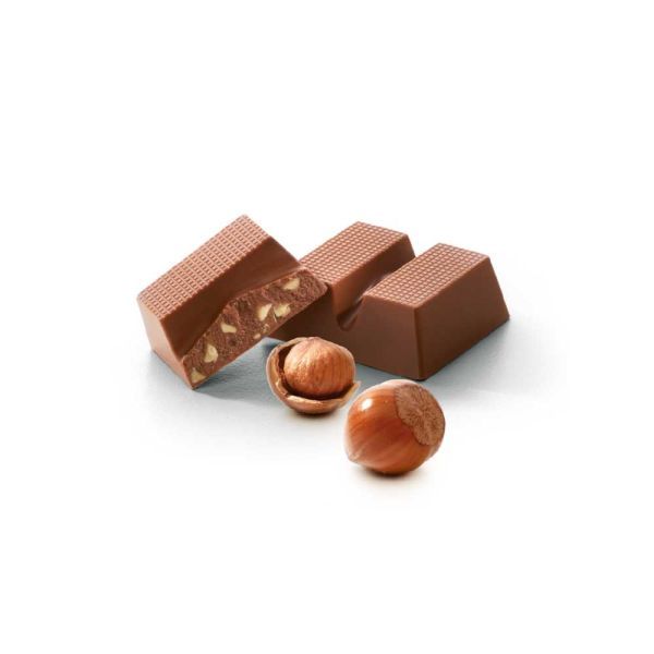 Schokoladenstücke mit Haselnüssen. Einzelne Haselnüsse daneben.