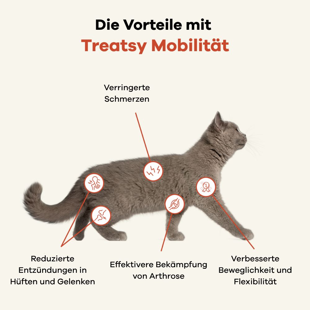 Katze mit Pfeilen, die auf Bereiche des Körpers zeigen. Text: Reduzierte Entzündungen, Schmerzen, Arthrose, Beweglichkeit.