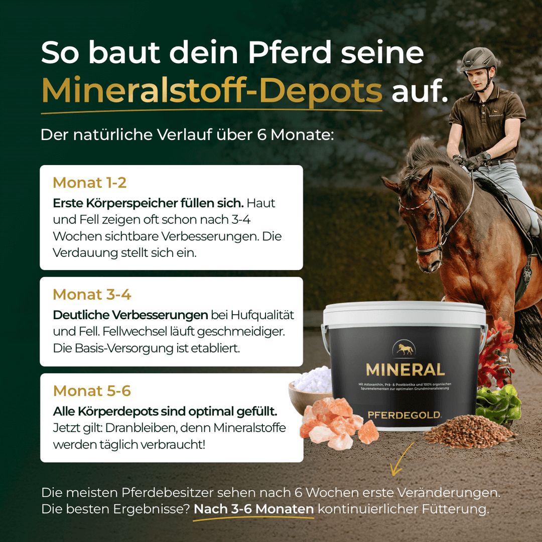 Pferdegold Mineral