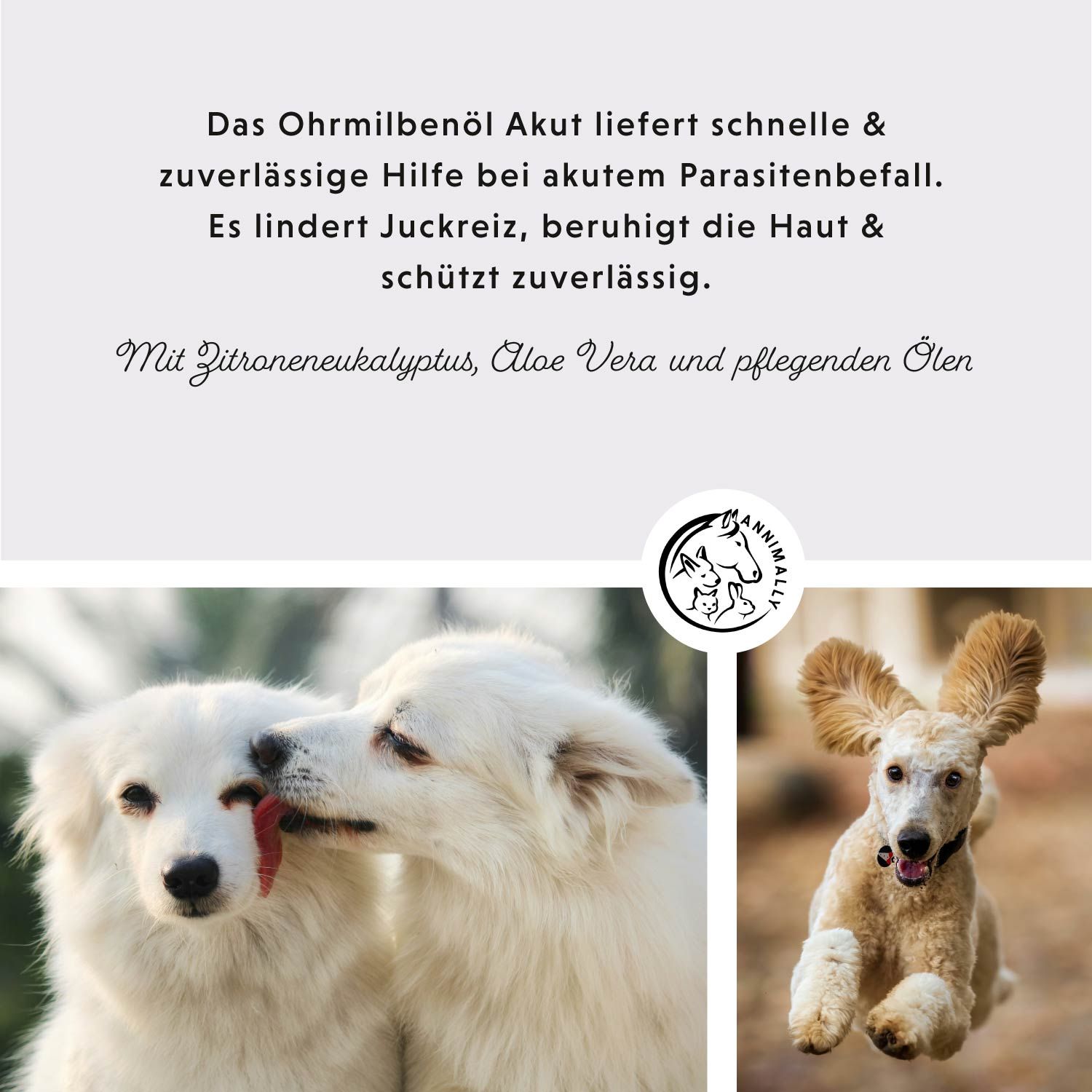 Text mit Logo. Text: Das Ohrmilbenöl Akut... Mit Zitroneneukalyptus, Aloe Vera und pflegenden Ölen. Hunde.