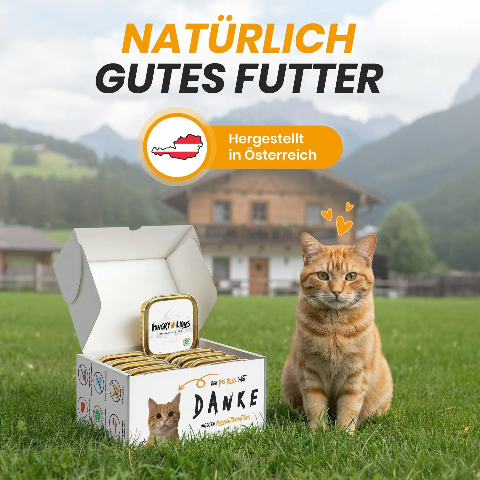 Eine Schachtel Tierfutter und eine Dose Tierfutter. Berge im Hintergrund.