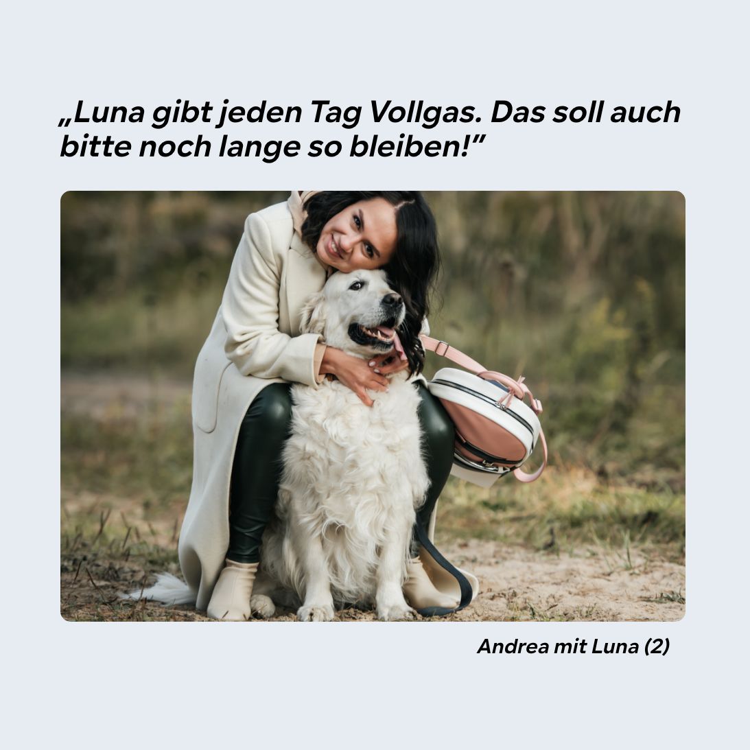 HGM Gelenkpulver aktiv Hunde, stärkt Gelenke durch Grünlippmuschel + Glucosamin, HGM 500g