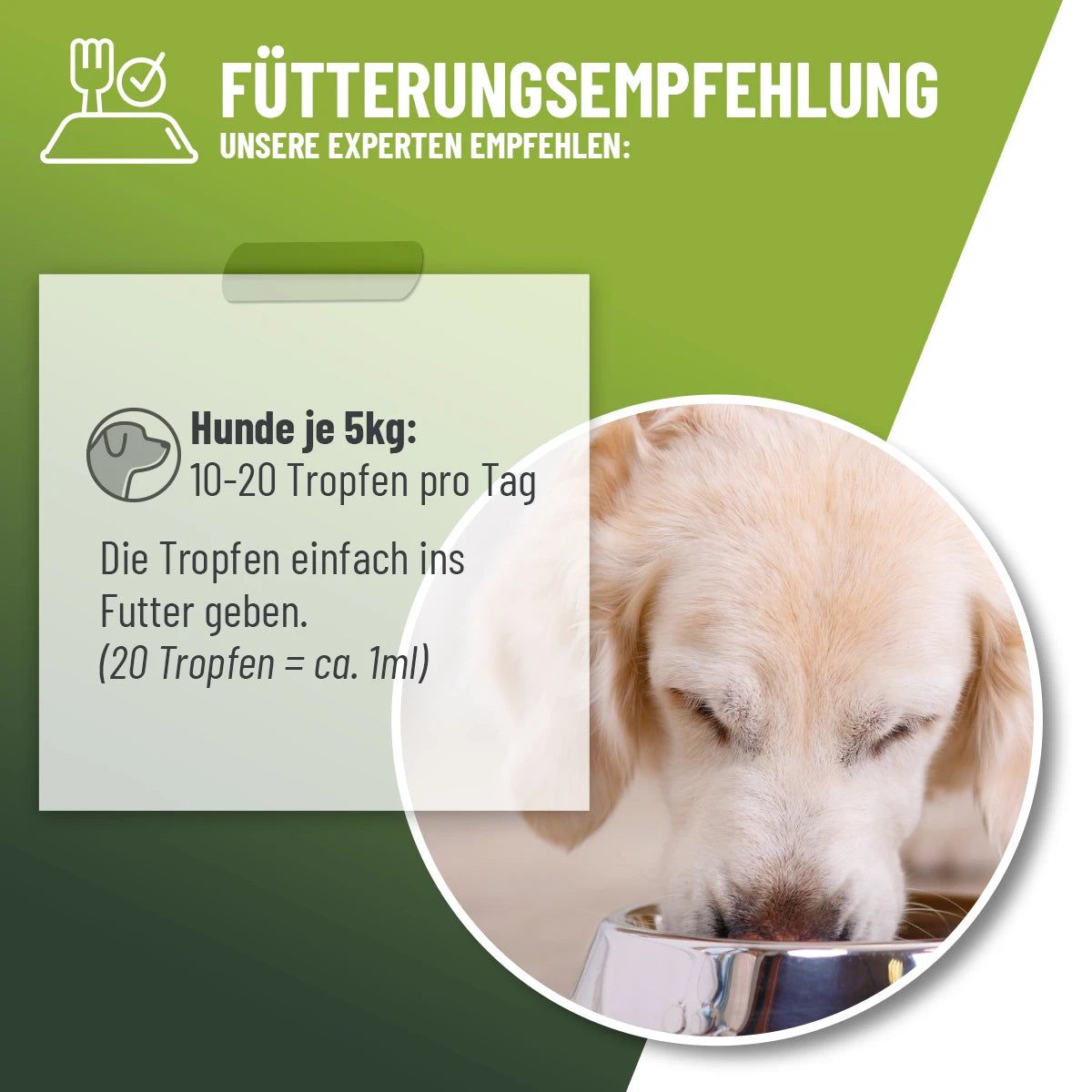 Hund frisst aus Napf. Text: Fütterungsempfehlung. Hunde je 5kg: 10-20 Tropfen pro Tag. Text auf Notiz.