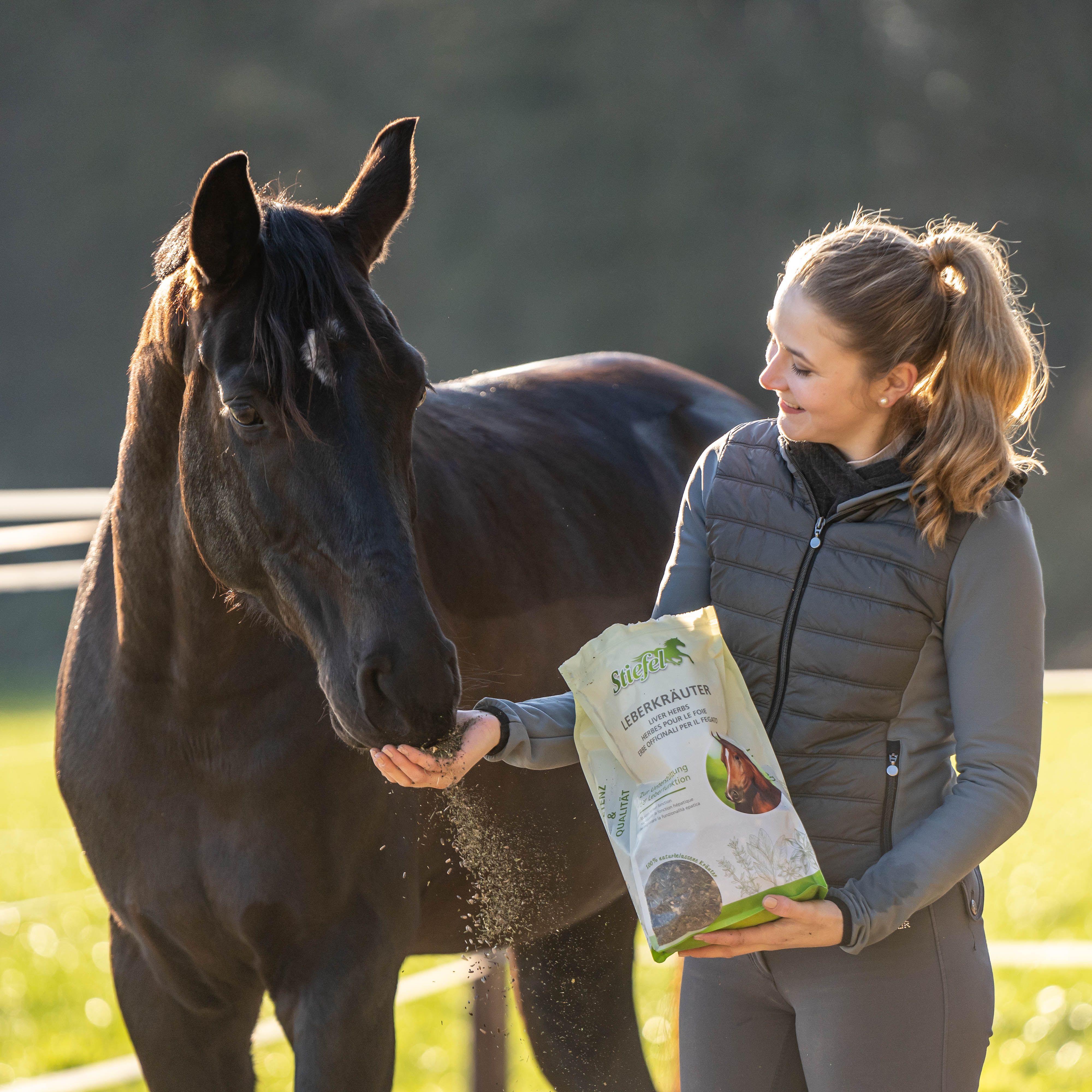 Frau füttert Pferd mit Stiefel Leberkräuter. Beutel mit Kräutermischung. Pferd frisst aus der Hand. Natürliche Umgebung.