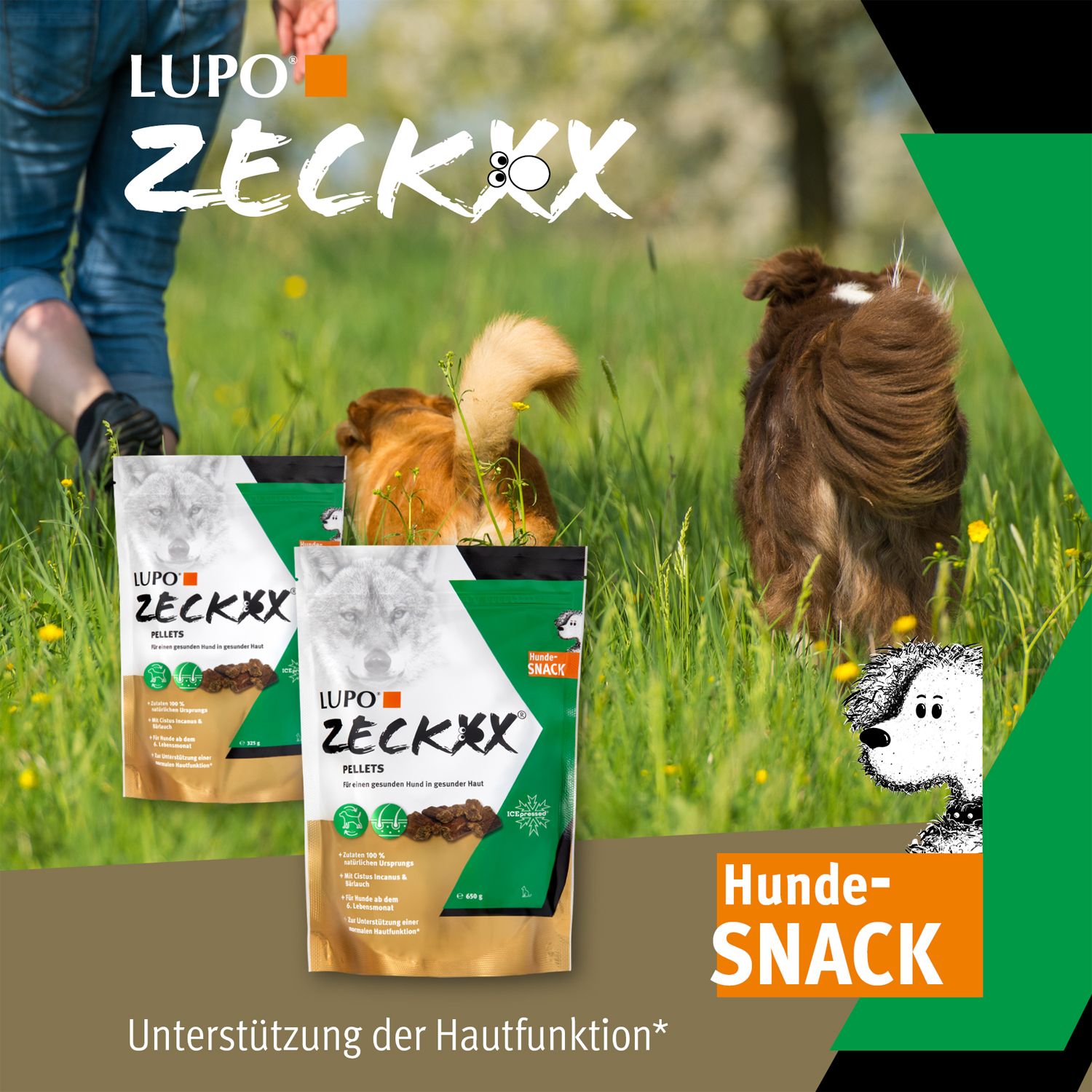 Zwei Beutel Hundesnacks LUPO ZECKXX im Gras. Hunde im Hintergrund. Grün-goldene Verpackung.