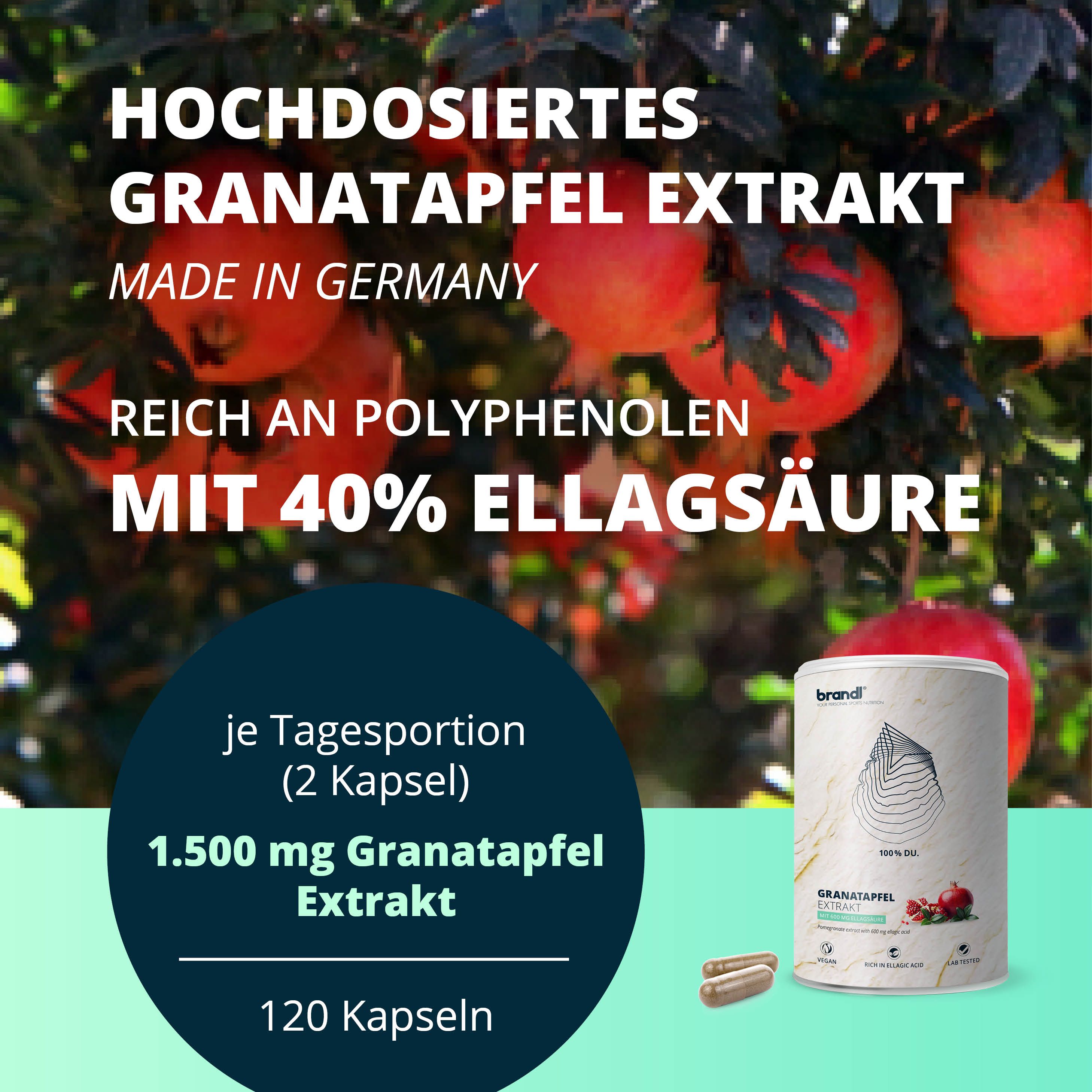 brandl® Granatapfelkern Extrakt (mit Antioxidantien) 120 St Kapseln